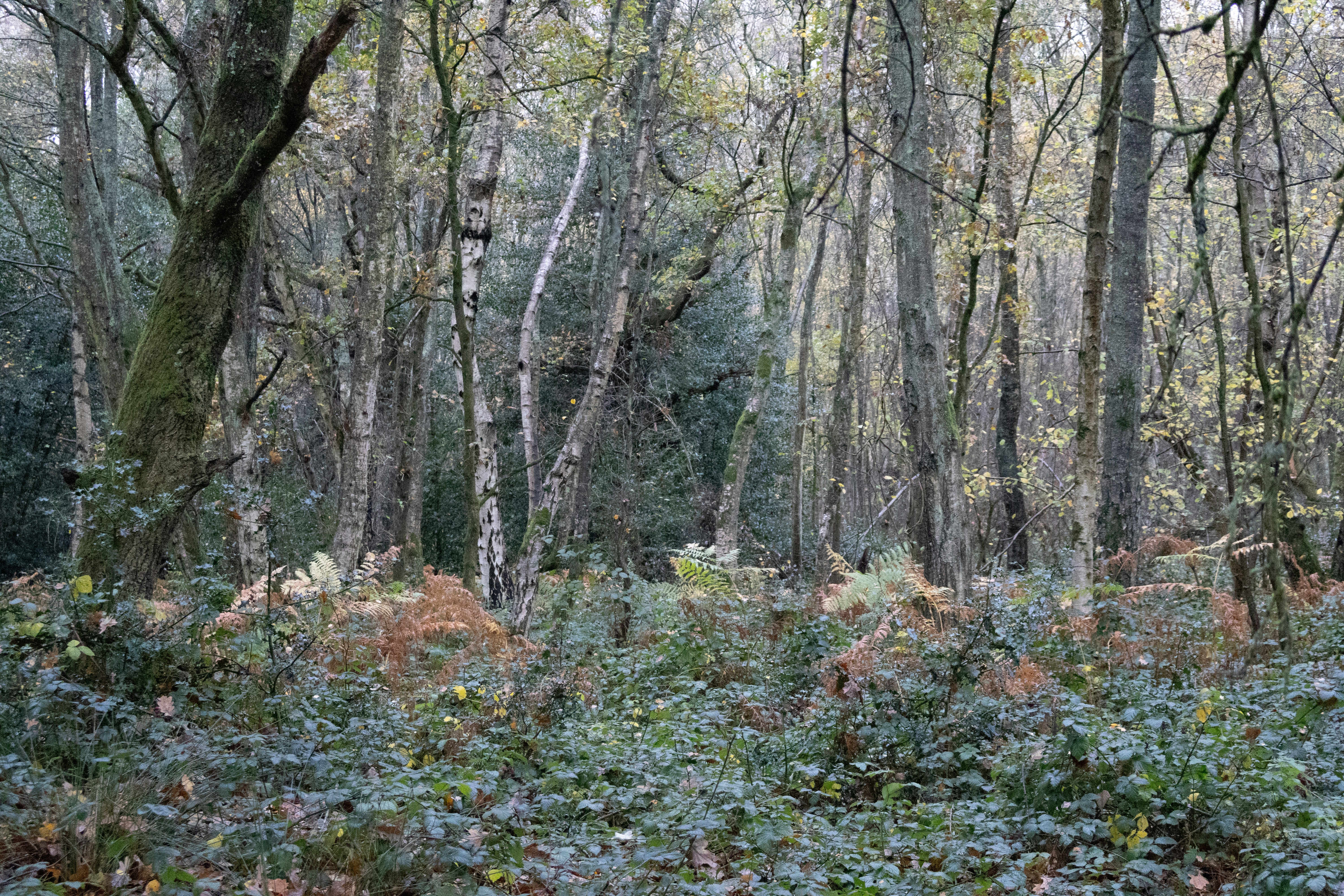 Photo by tanyabarrow