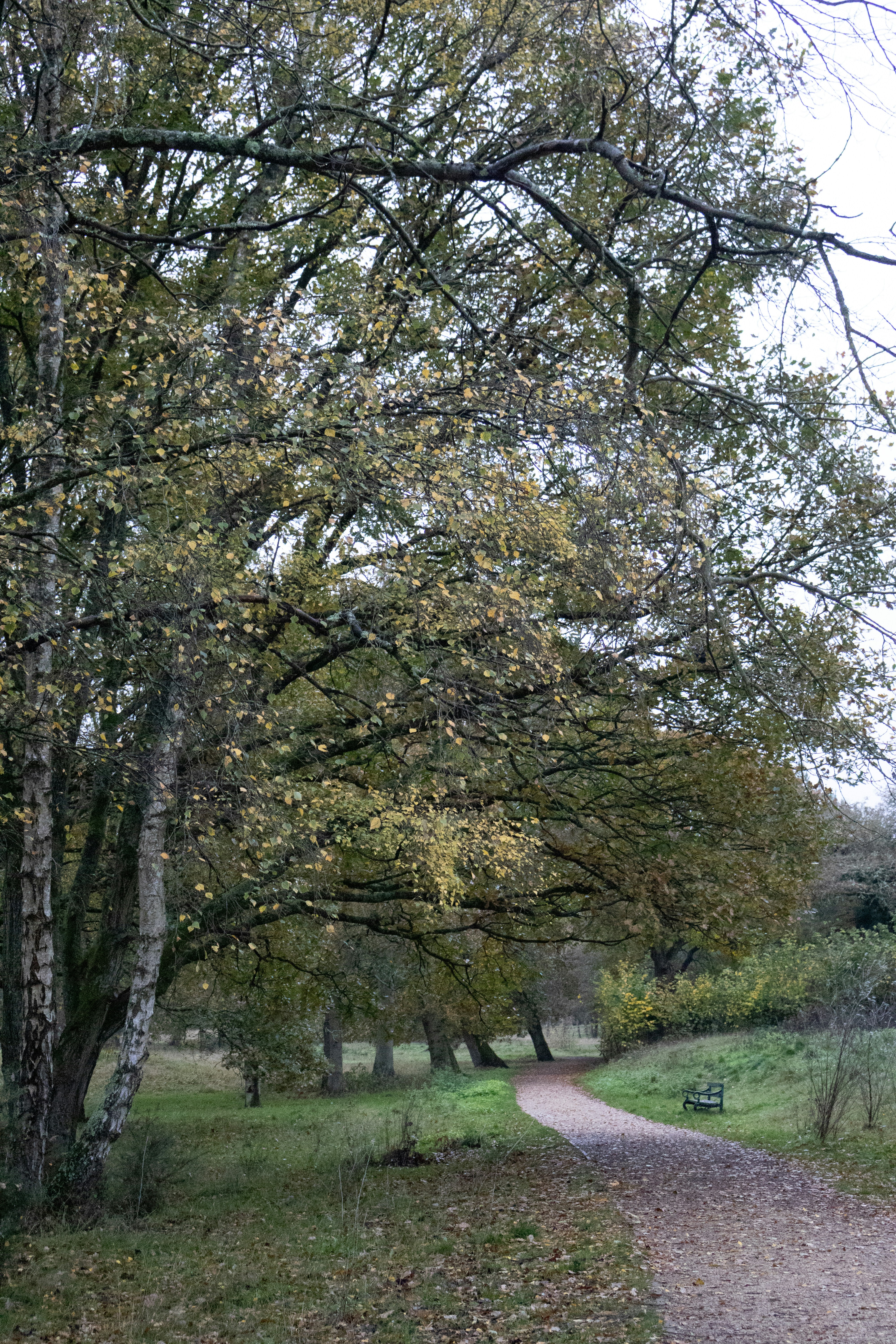 Photo by tanyabarrow