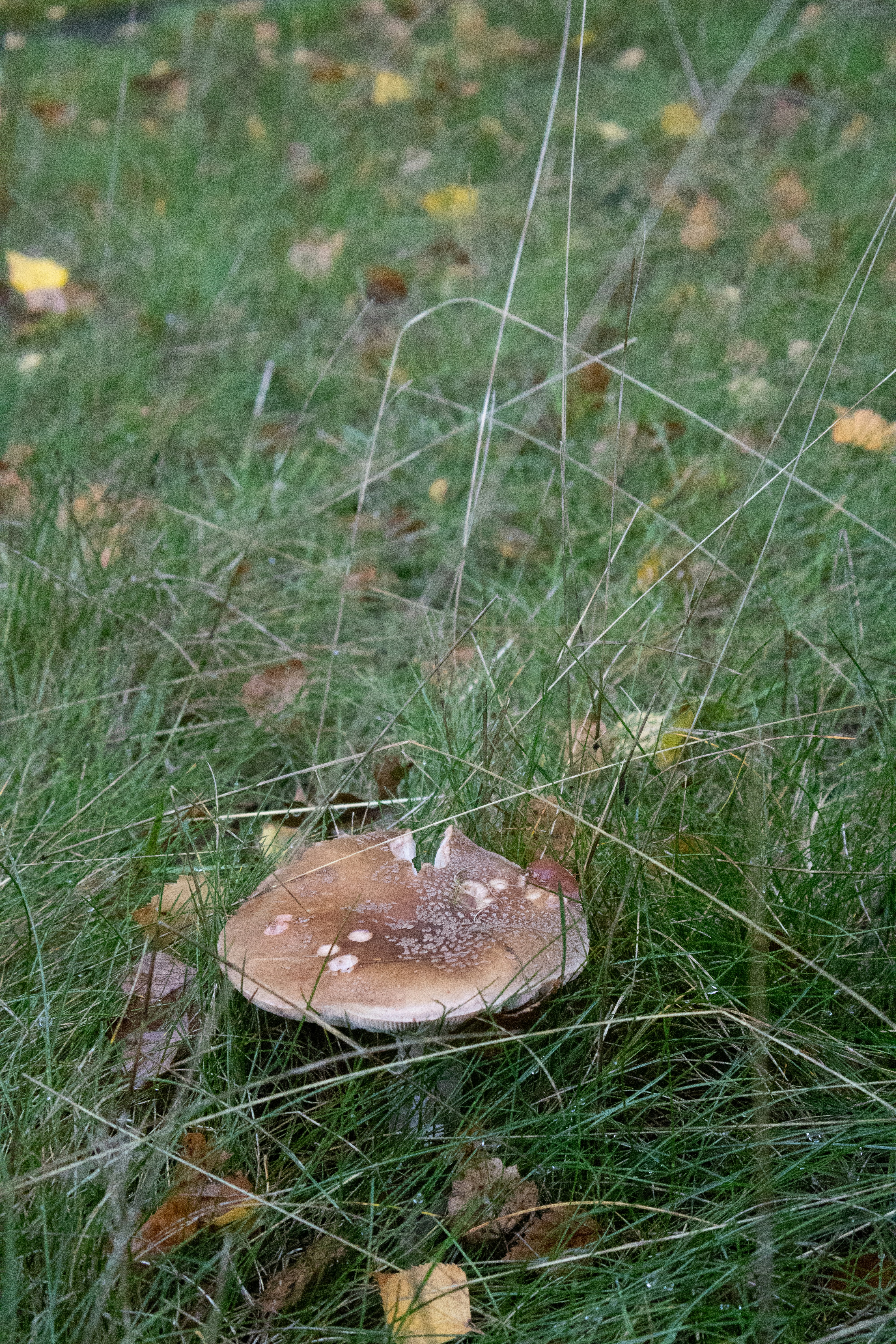 Photo by tanyabarrow