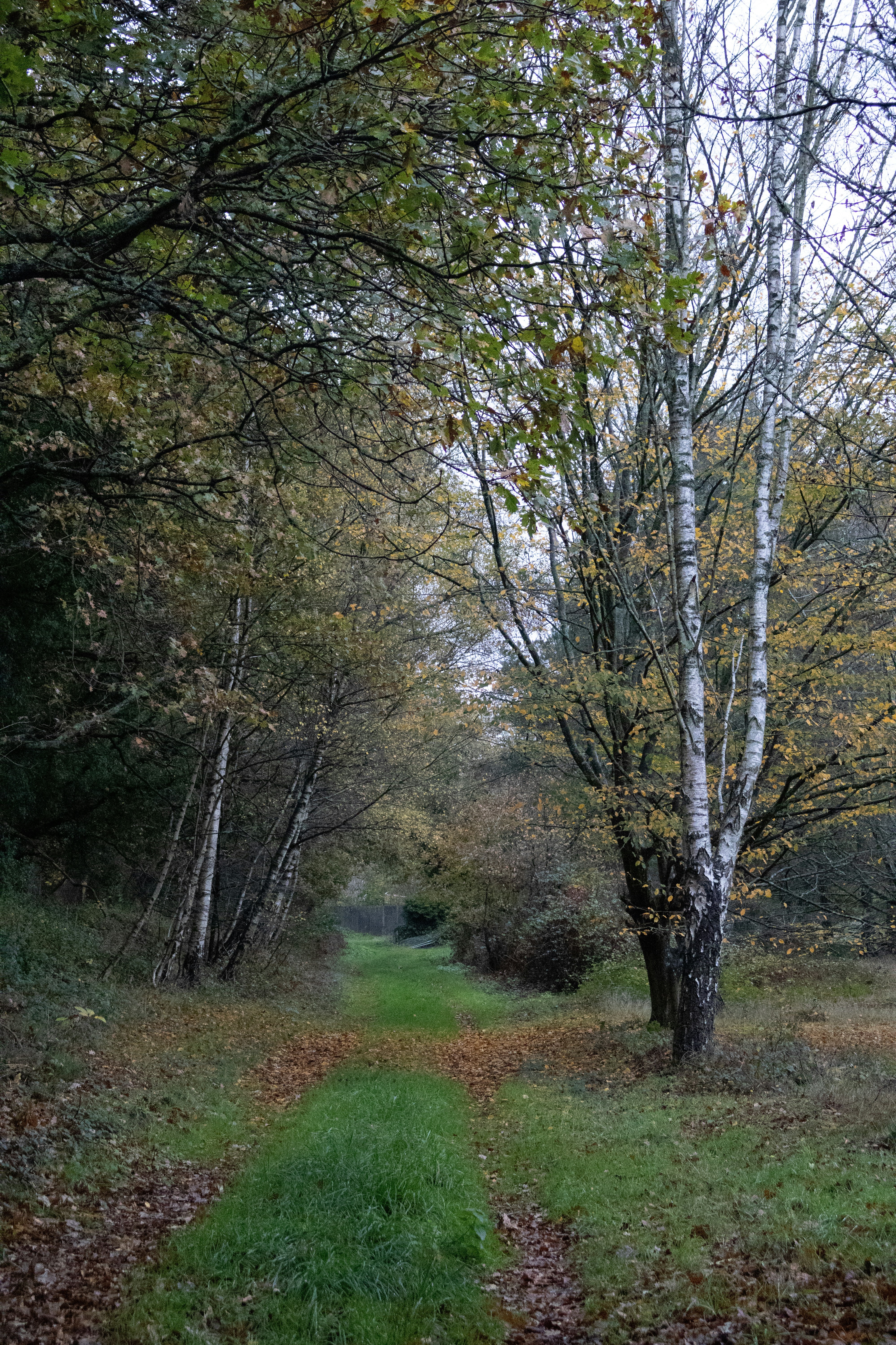 Photo by tanyabarrow