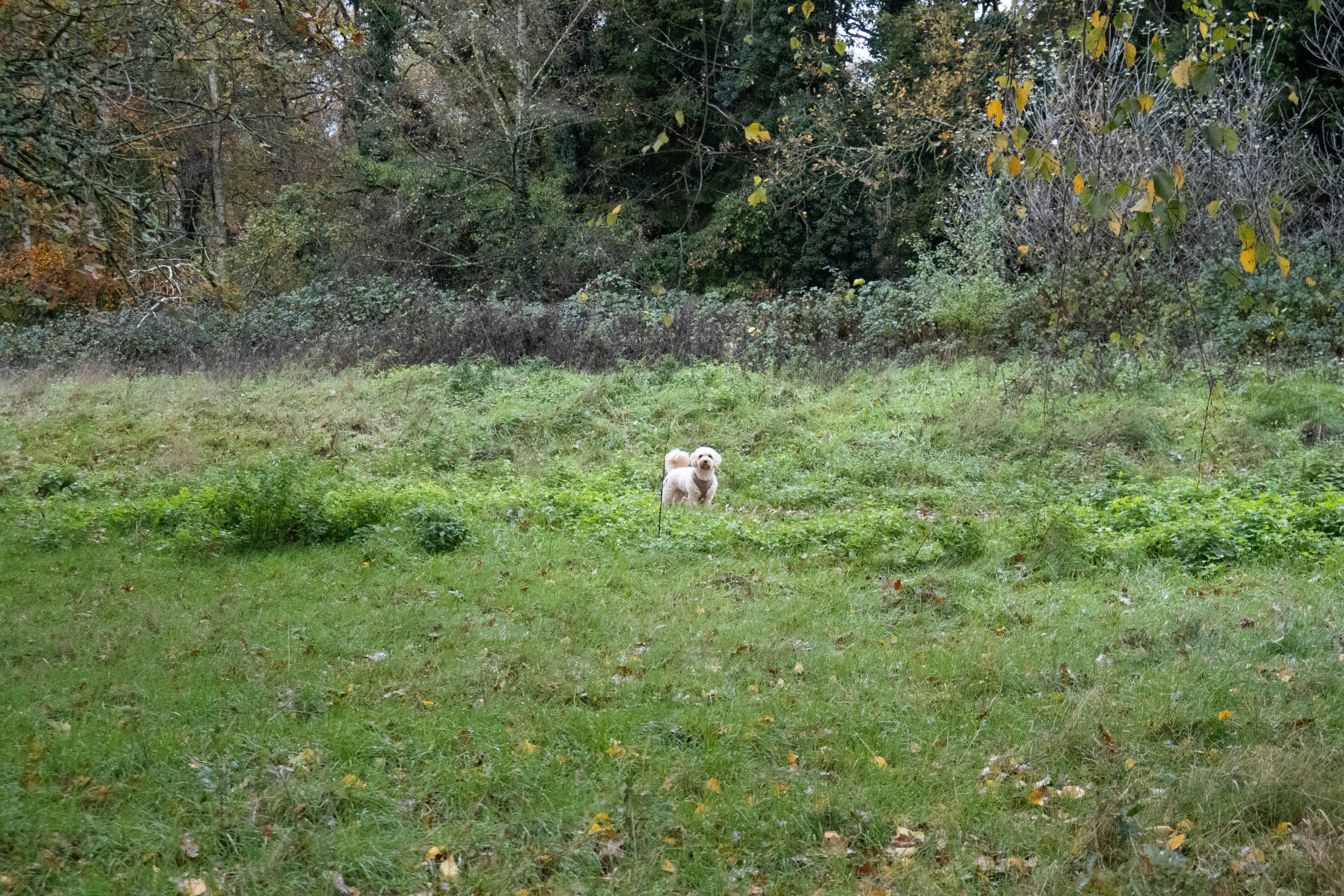 Photo by tanyabarrow