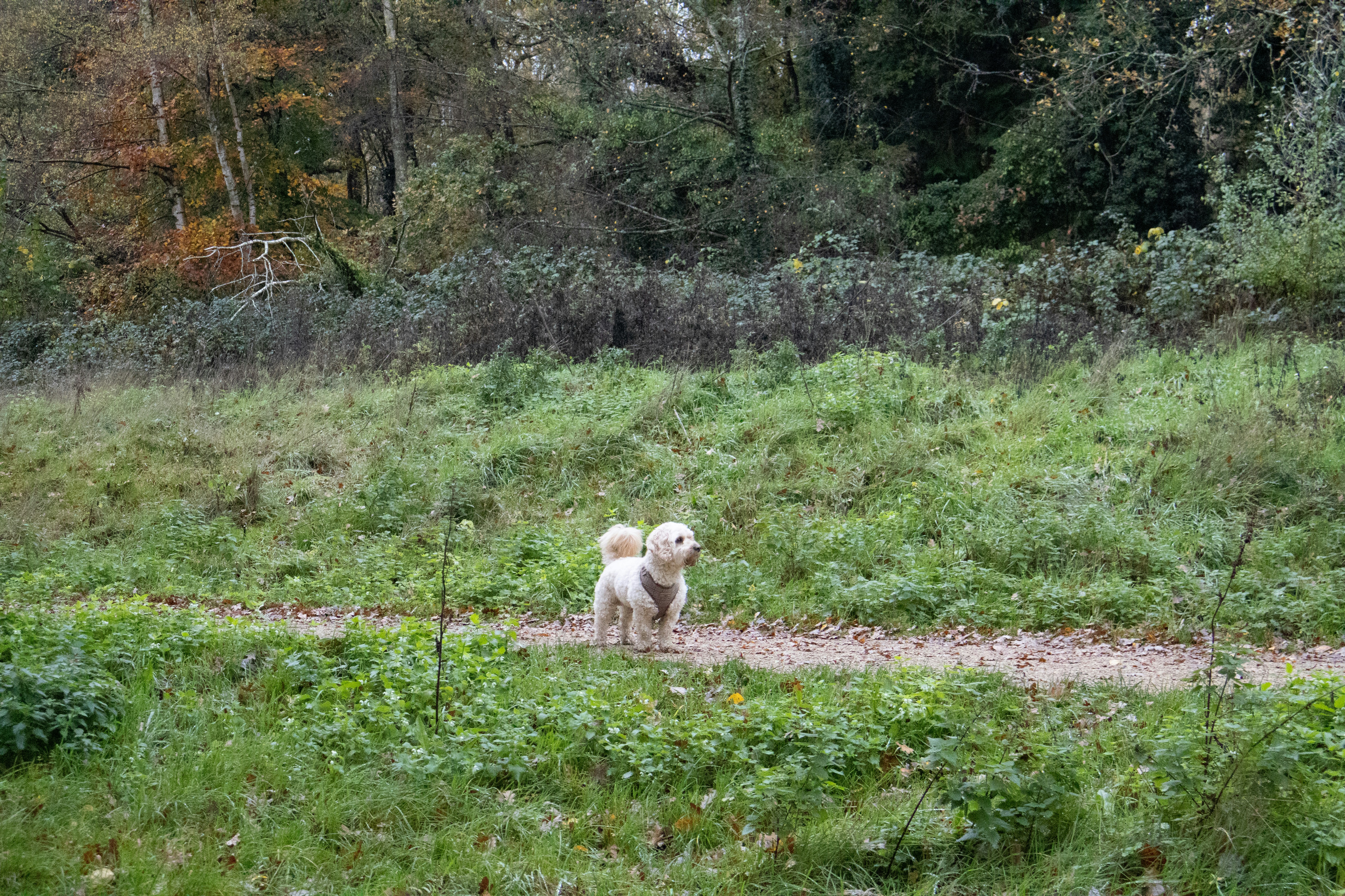 Photo by tanyabarrow