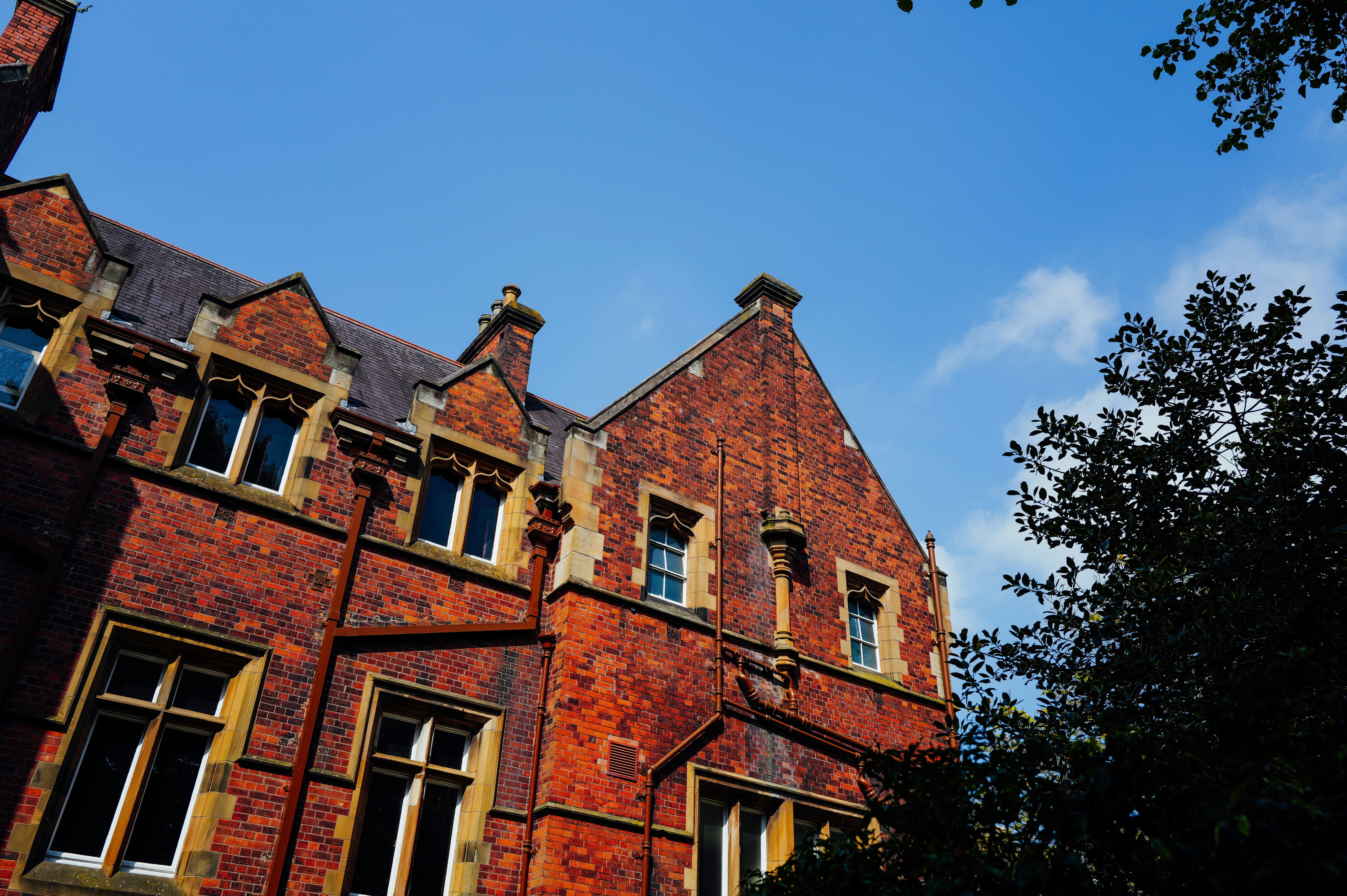 Photo by adrienolichon