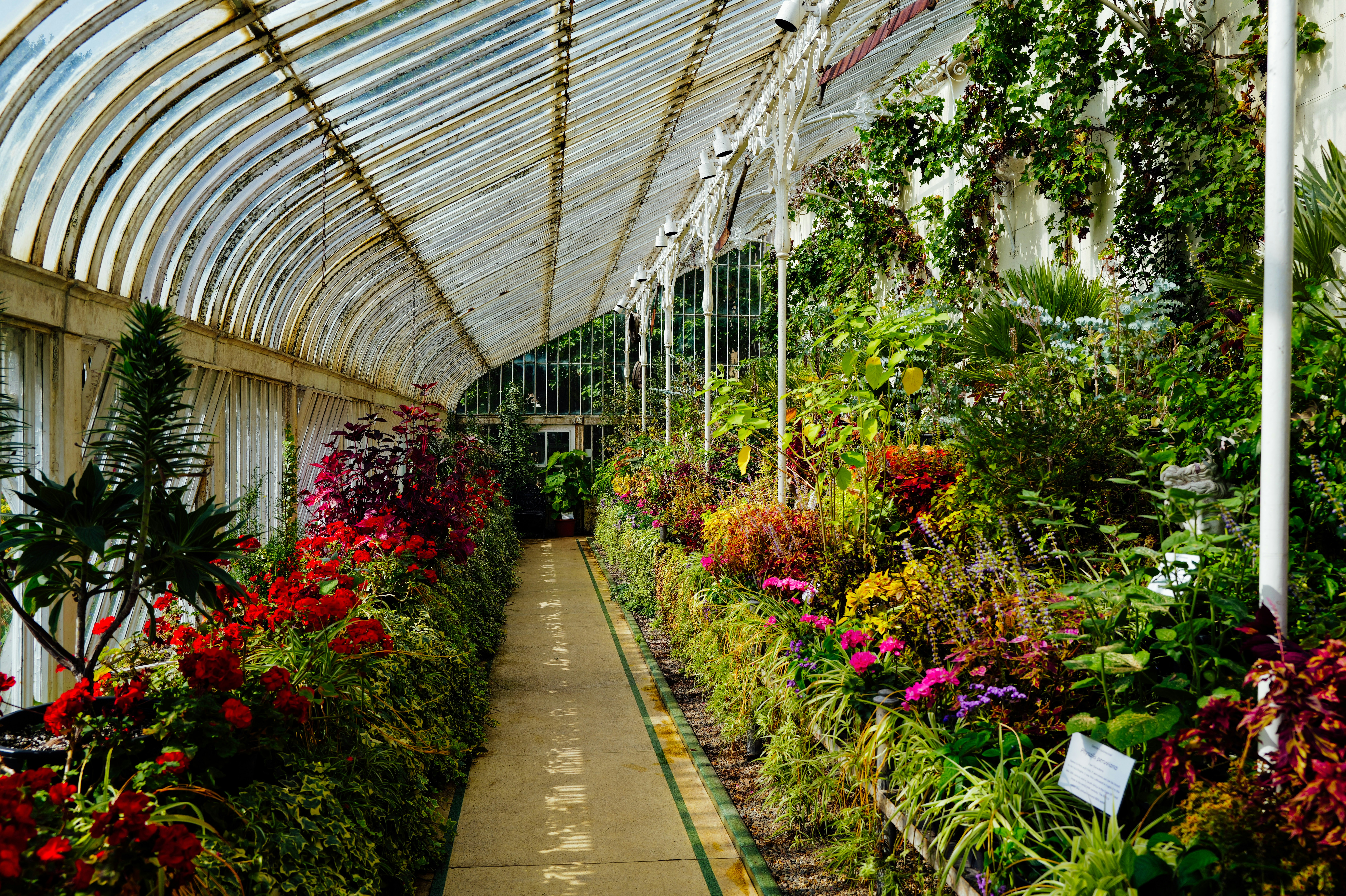 Photo by adrienolichon