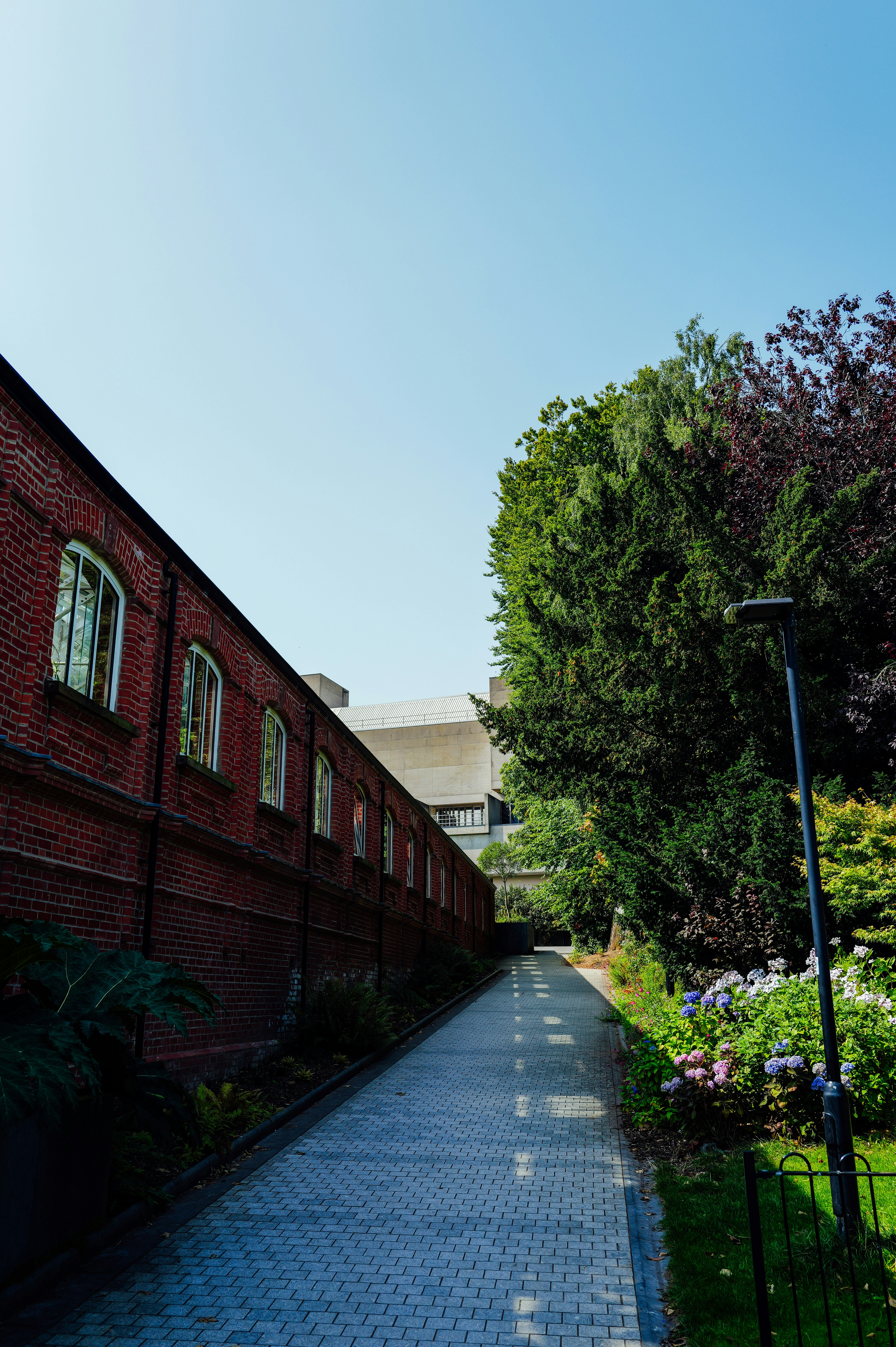 Photo by adrienolichon