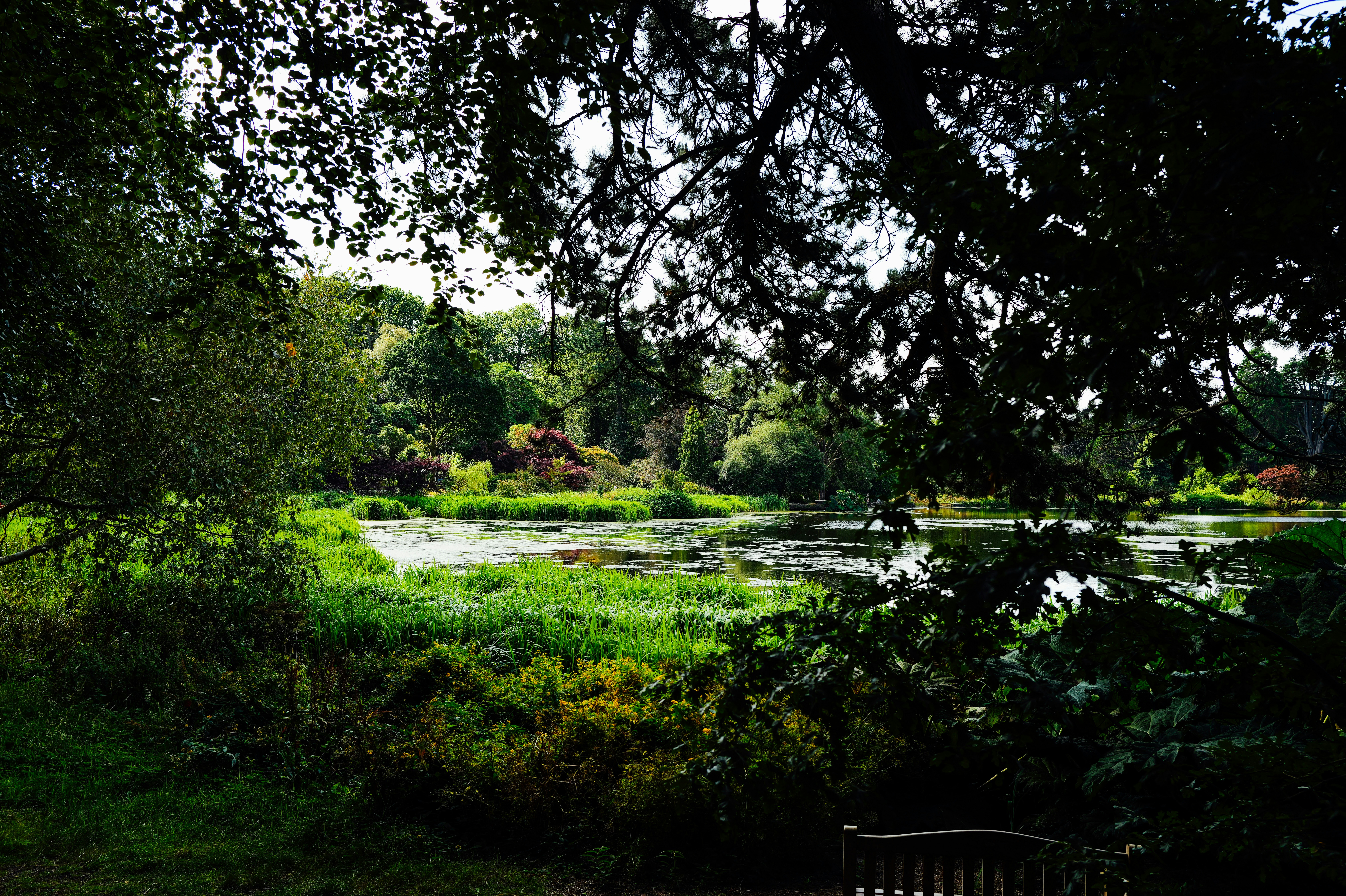 Photo by adrienolichon