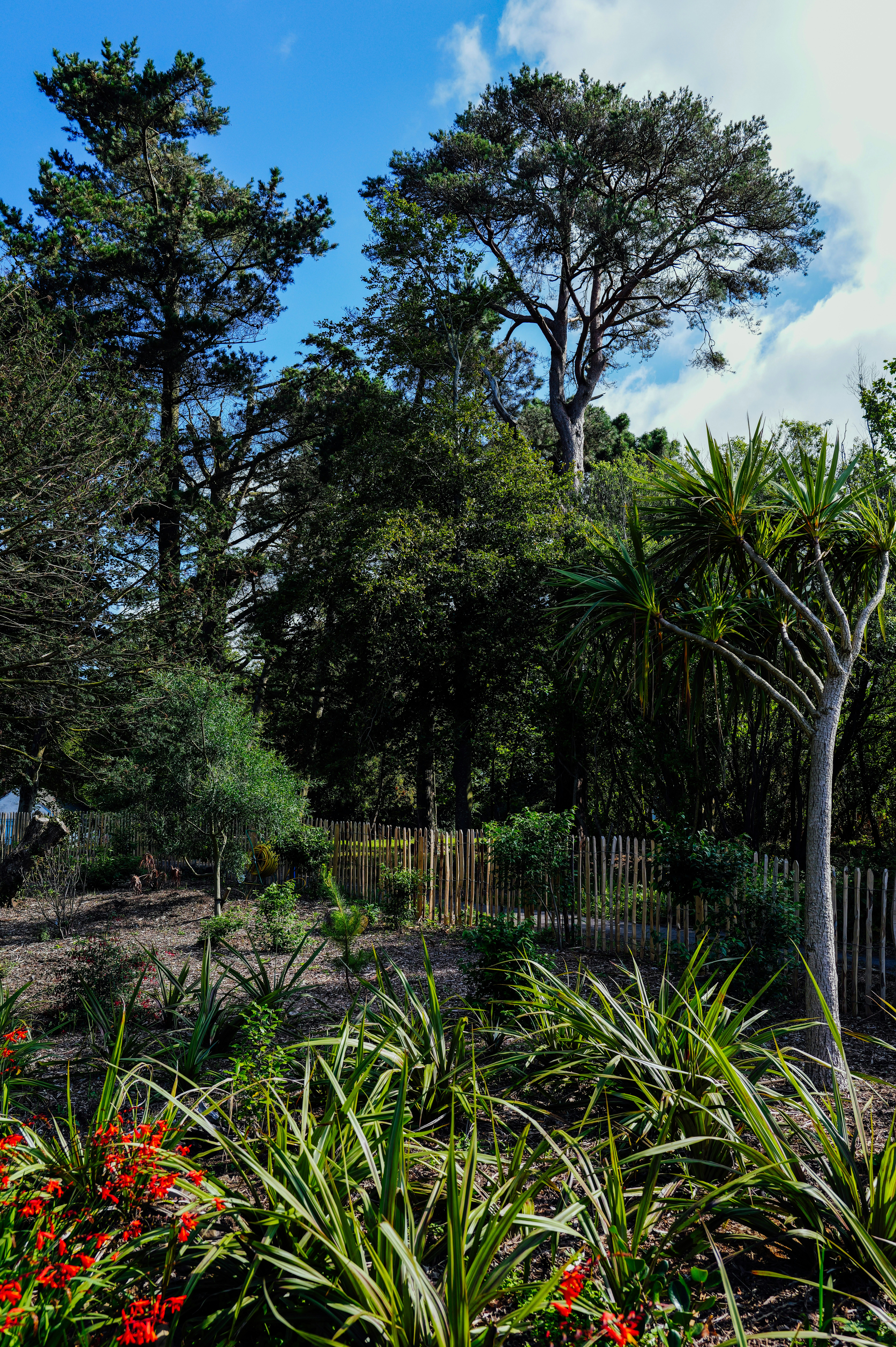 Photo by adrienolichon