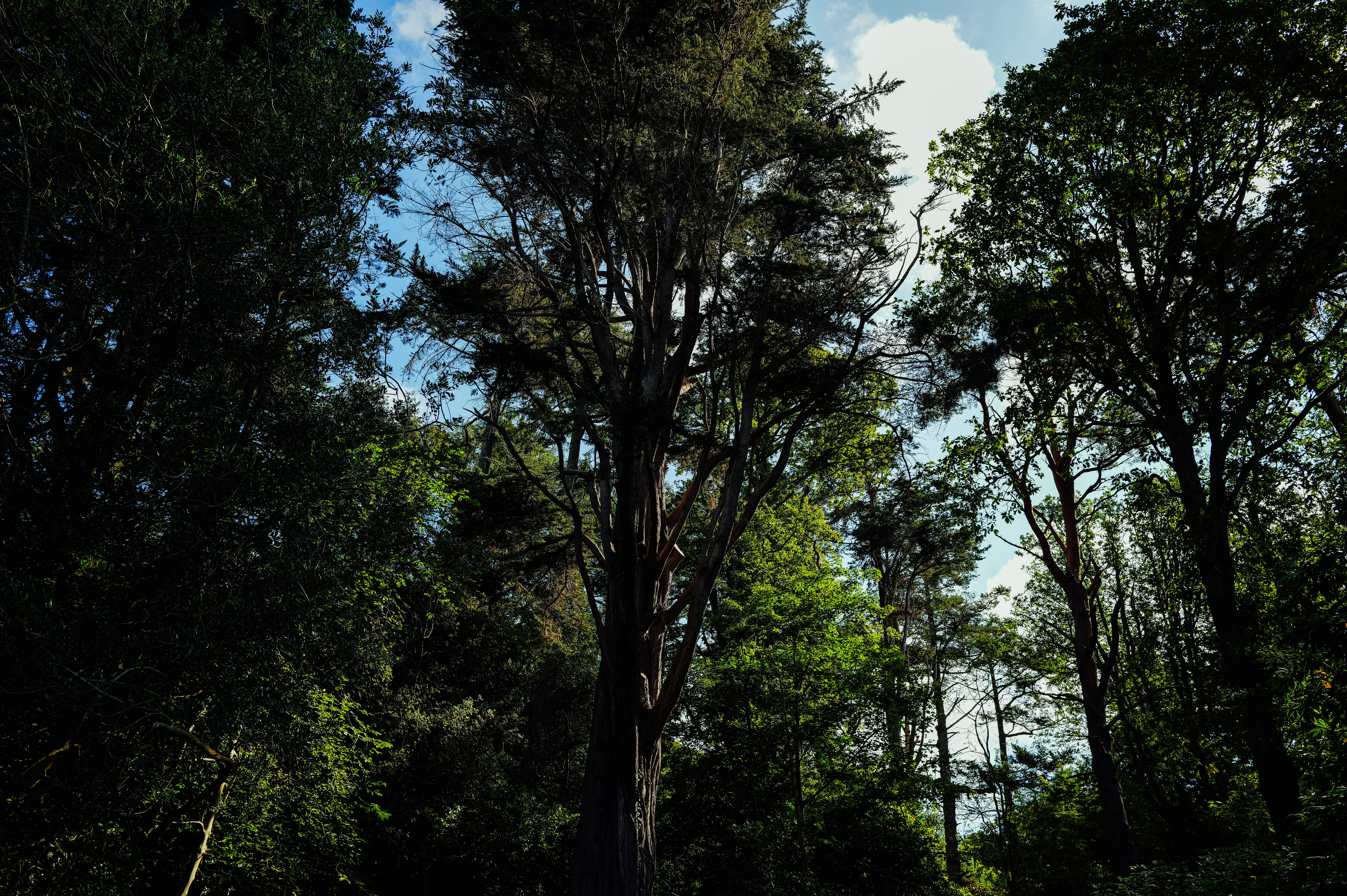 Photo by adrienolichon