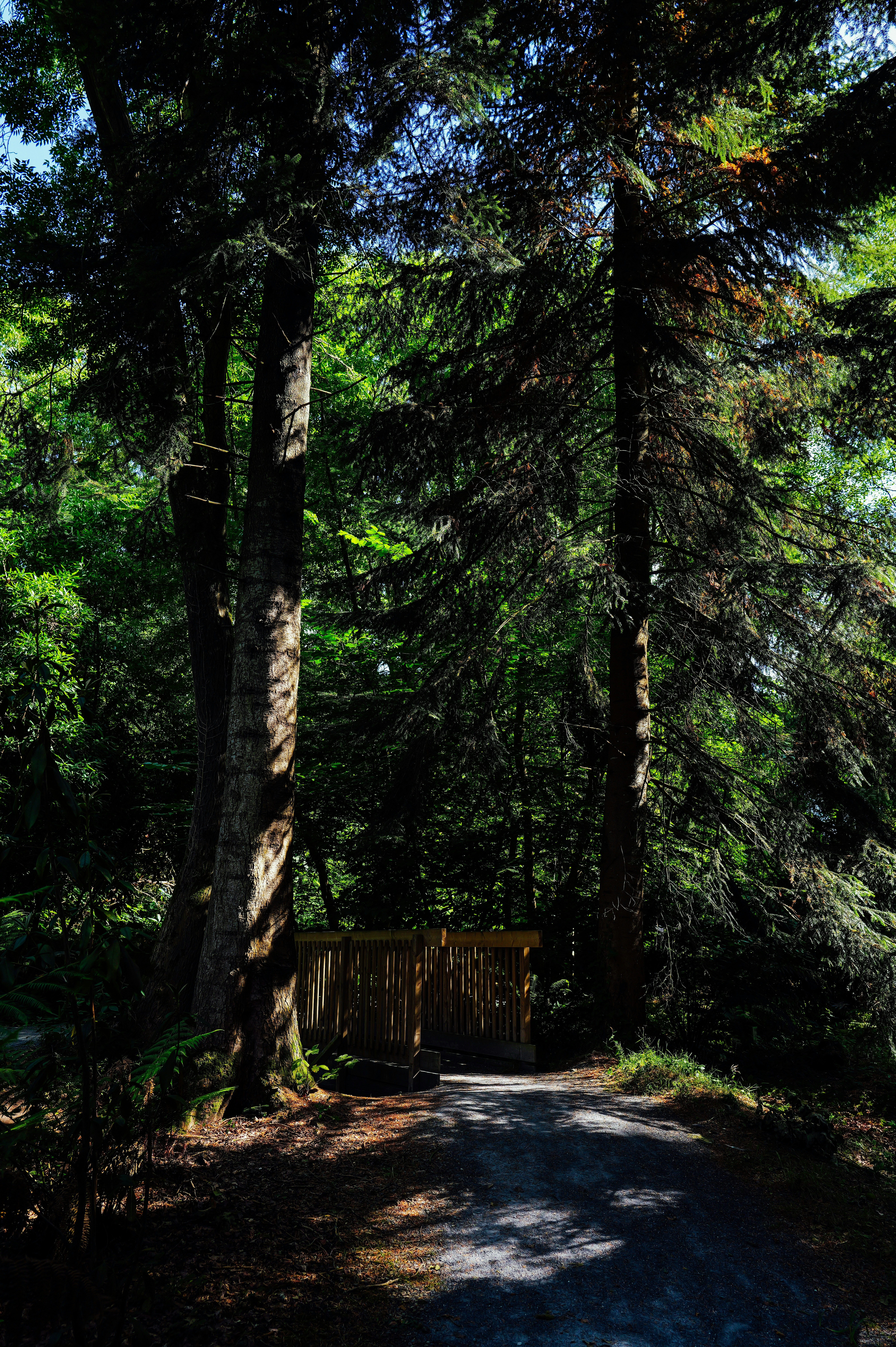 Photo by adrienolichon