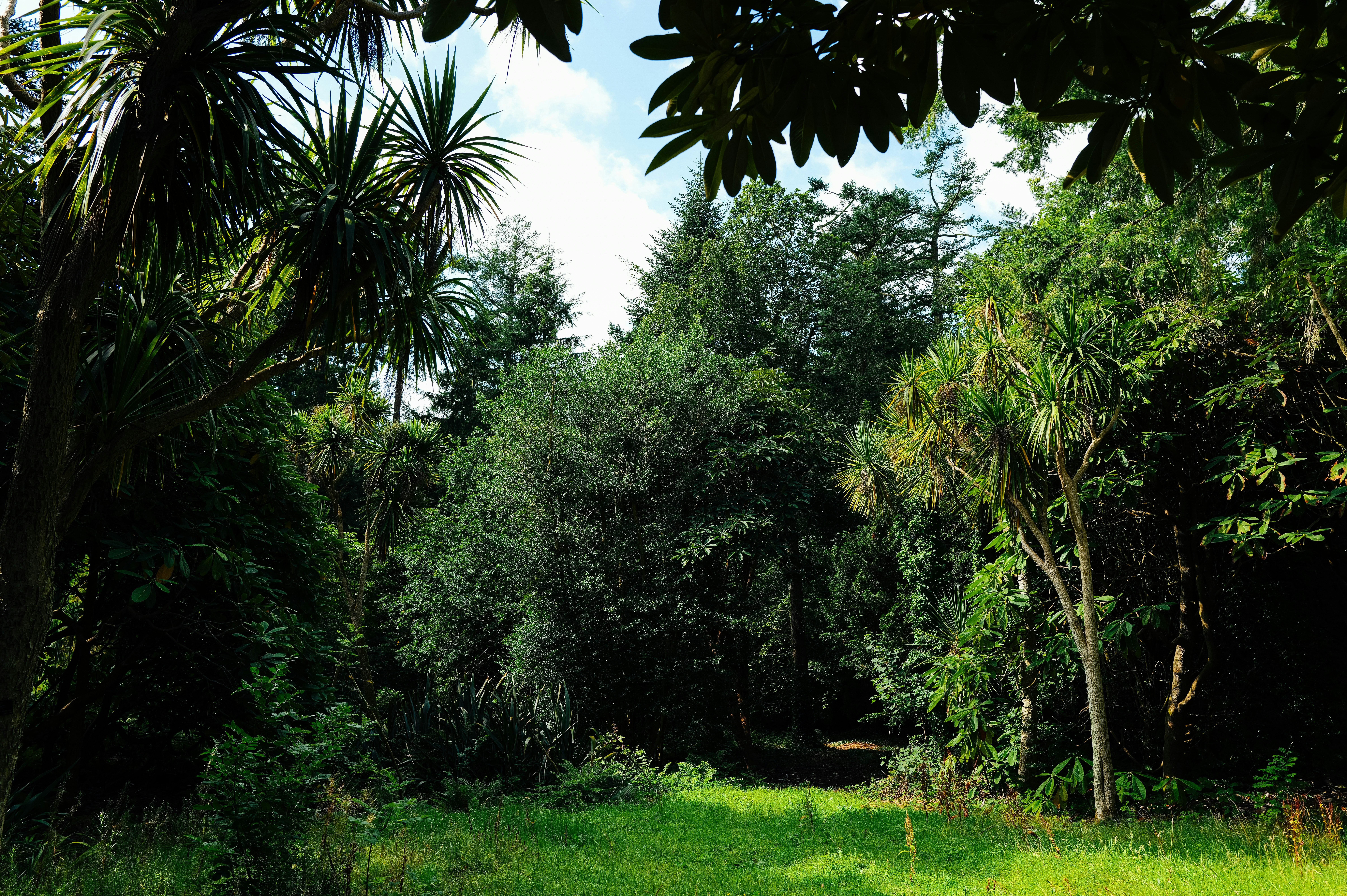 Photo by adrienolichon