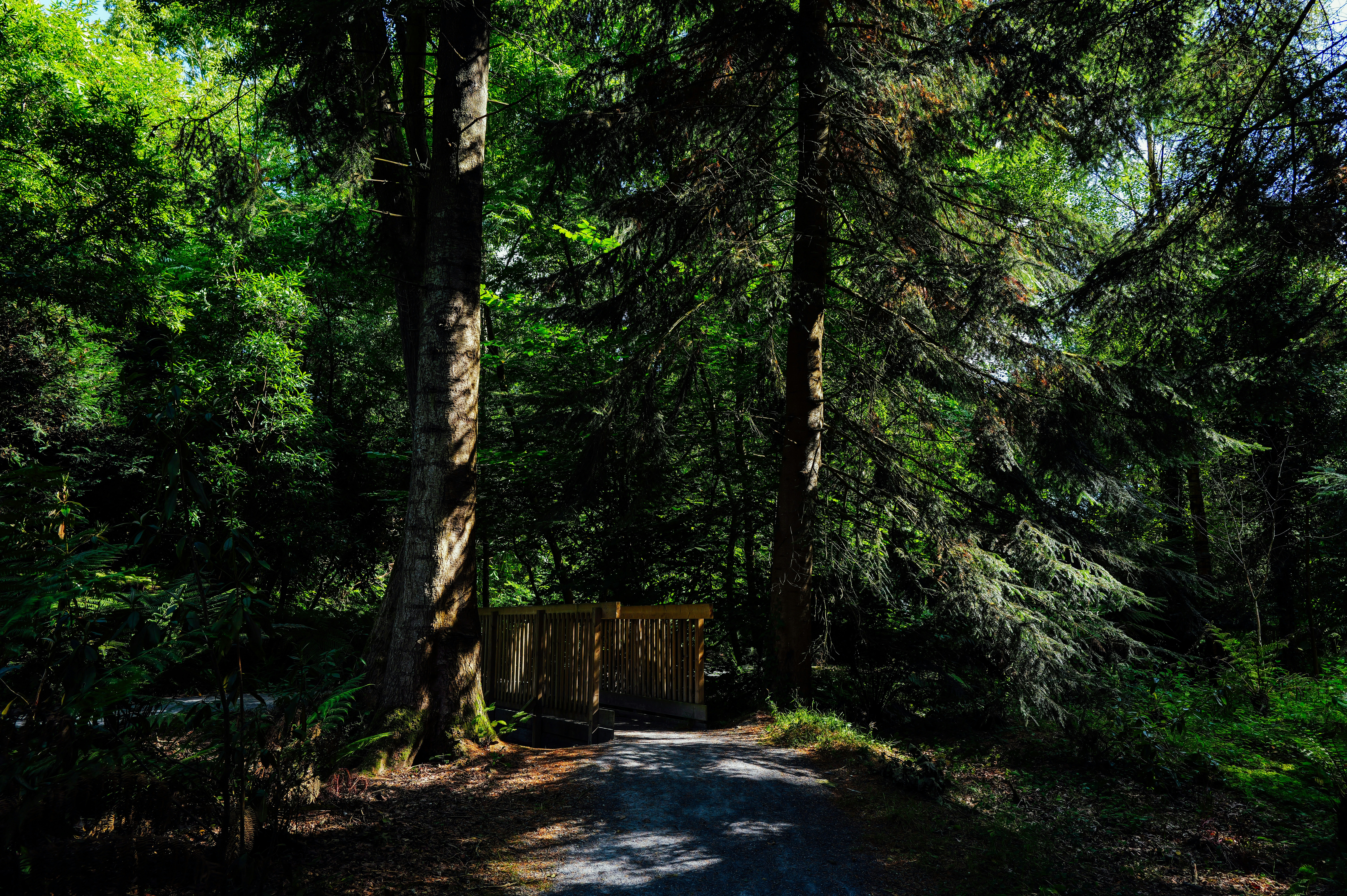 Photo by adrienolichon