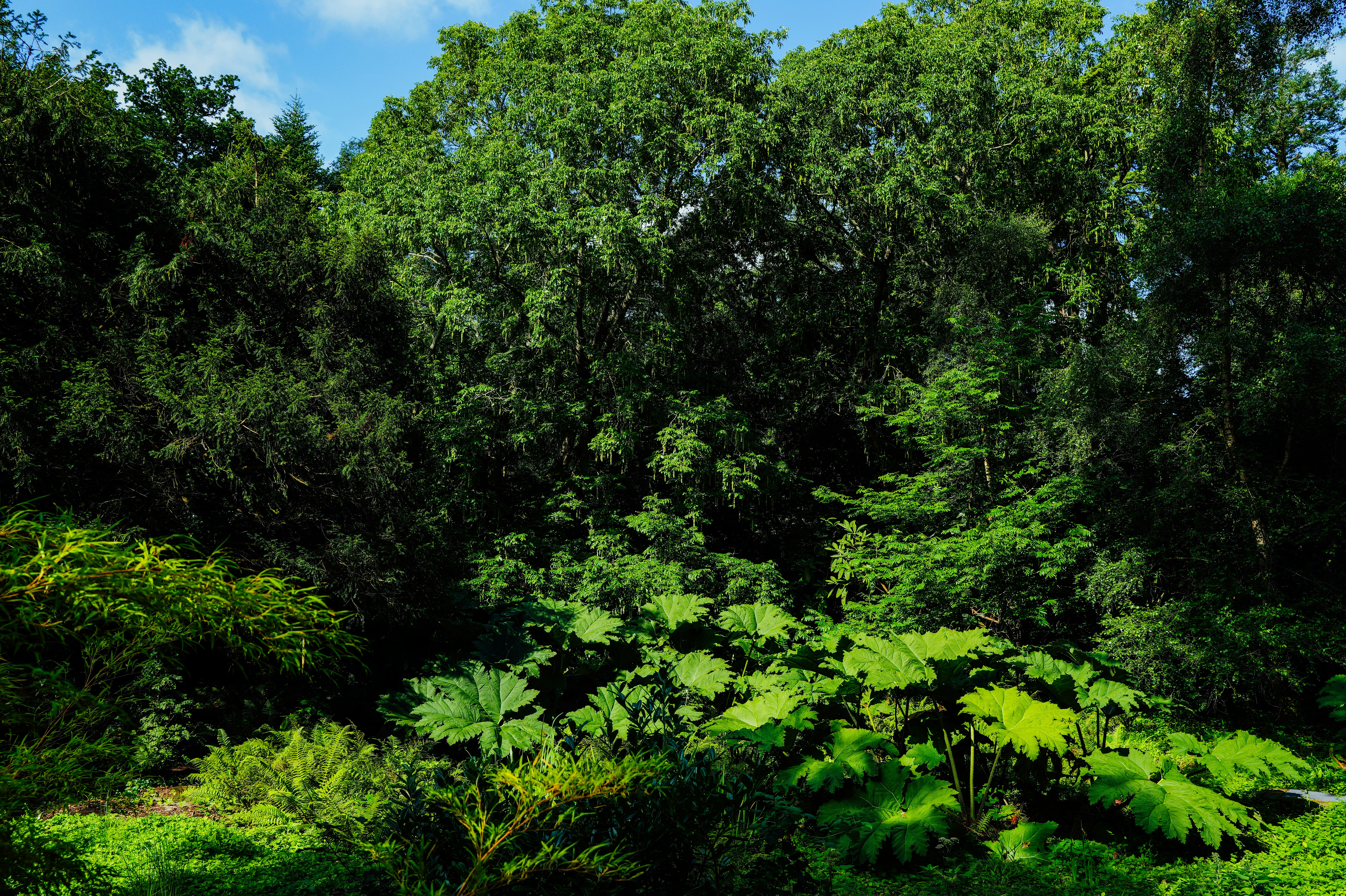 Photo by adrienolichon