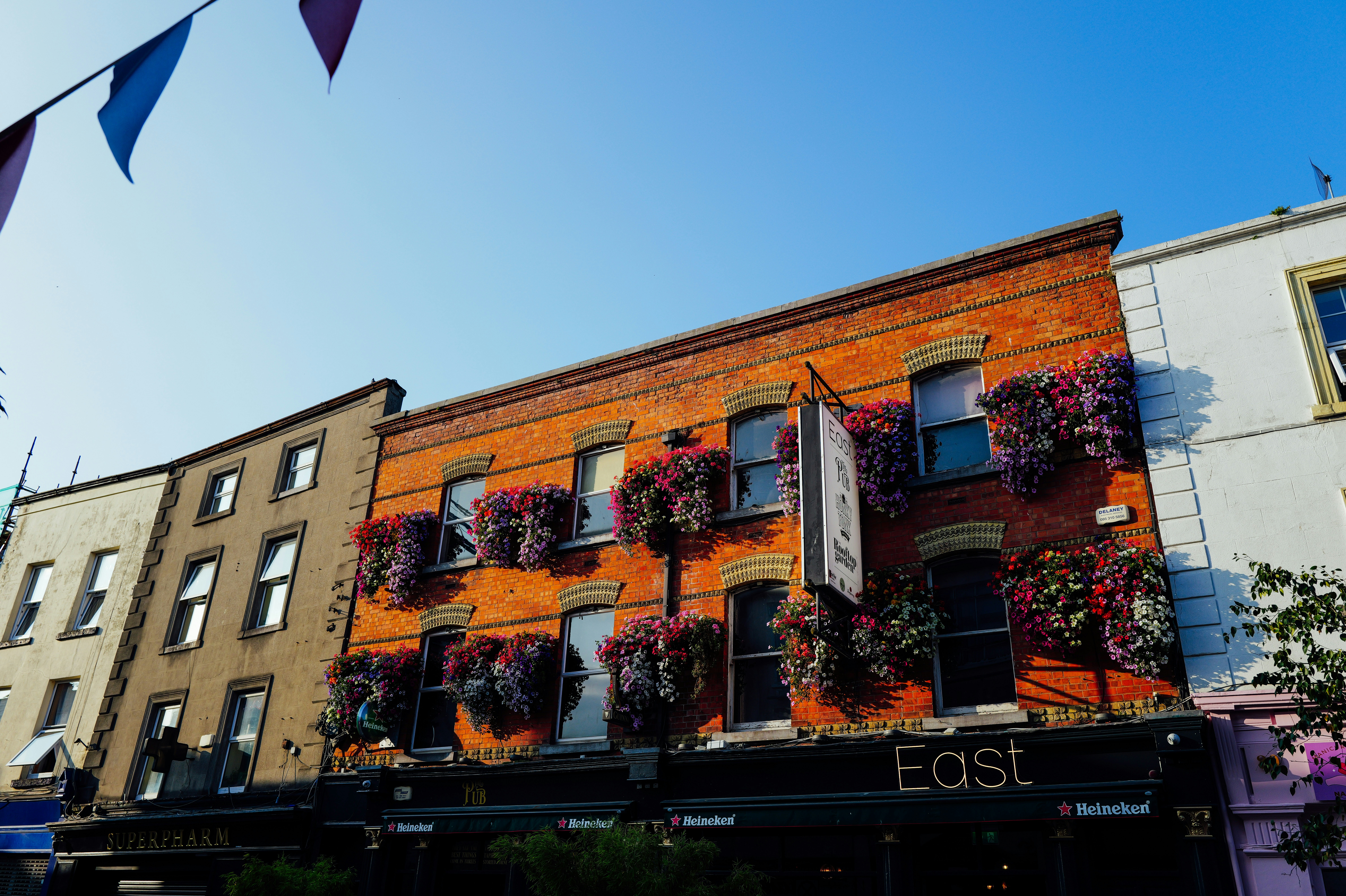 Edificios con flores colgando de las ventanas