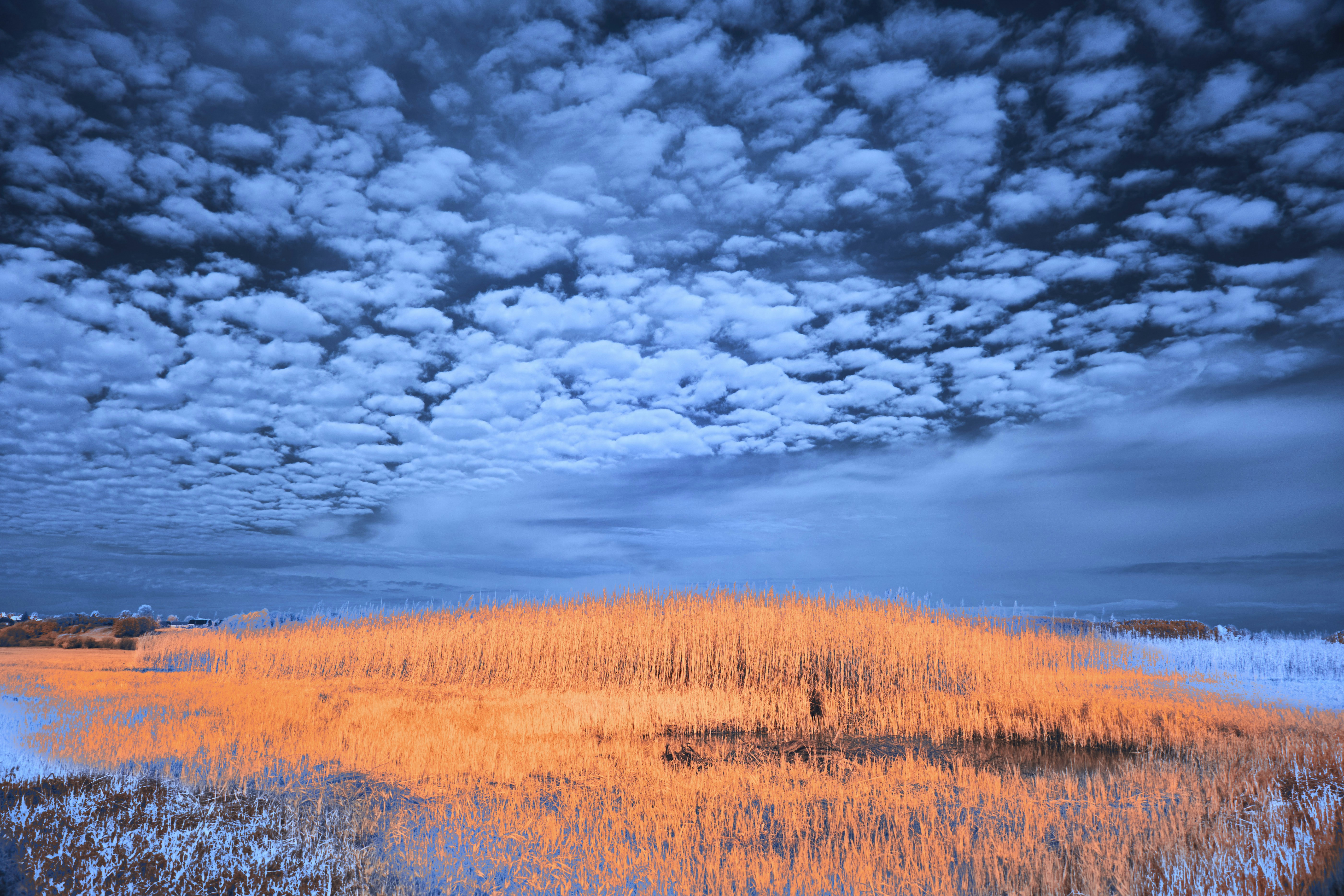 Photo by wolfgang_hasselmann