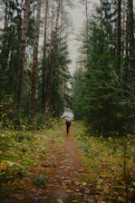 Person walking on path through autumn forest