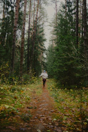 Person walking on path through autumn forest