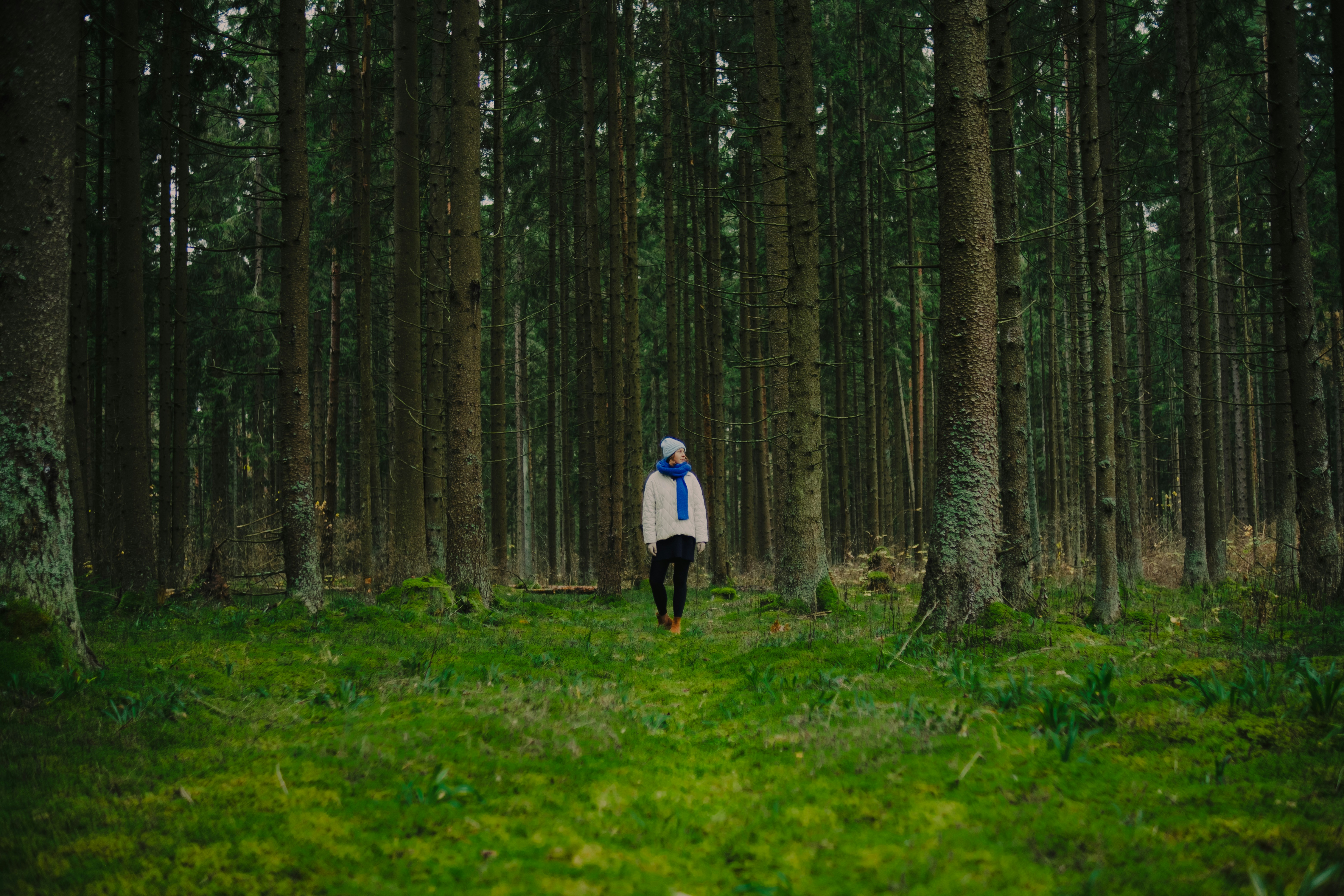 Person standing in a dense, green forest