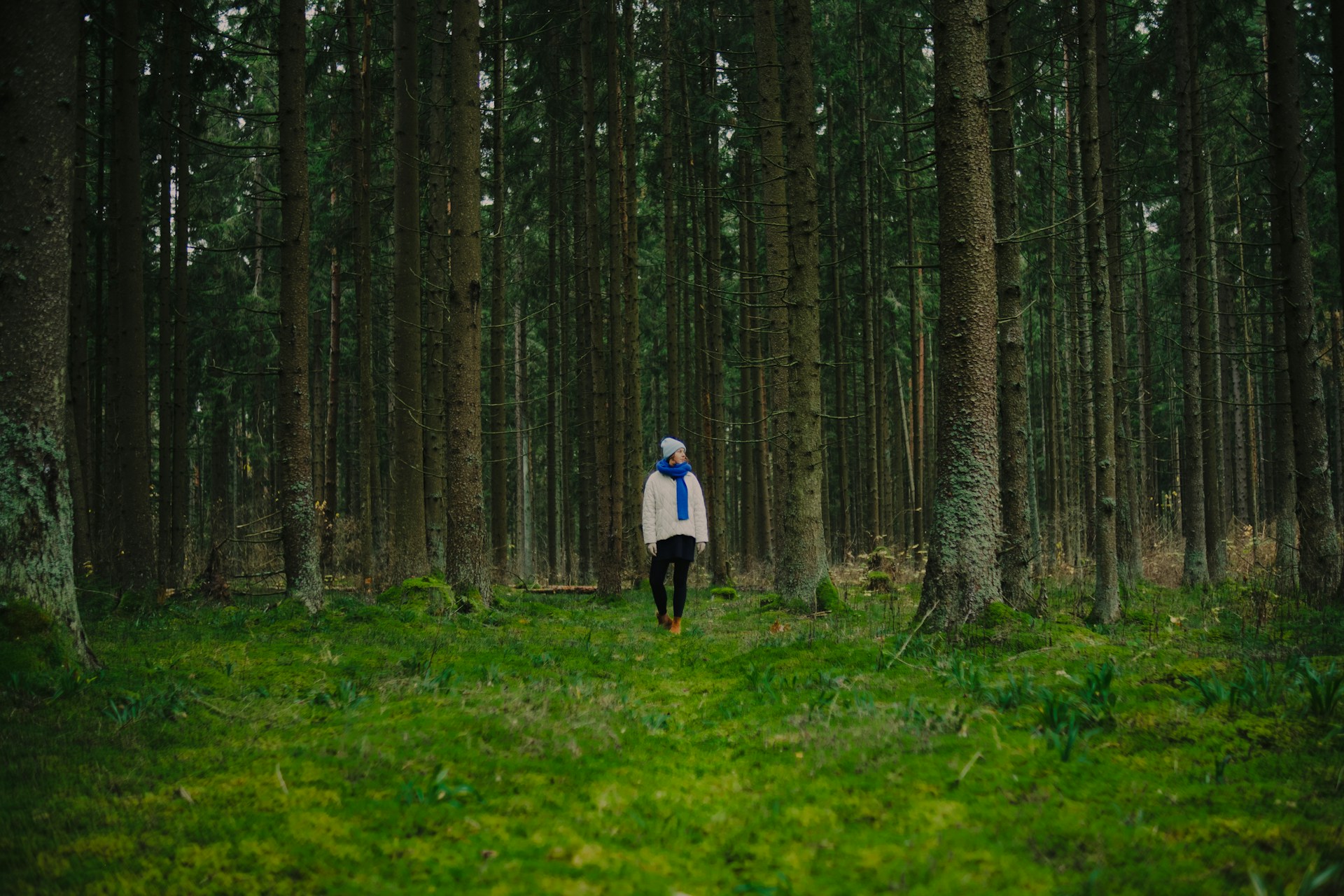 Person standing in a dense, green forest