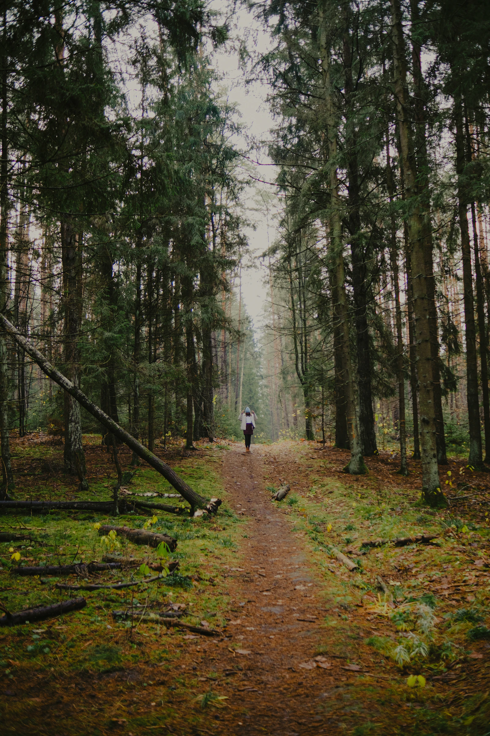 Person geht auf einem Waldweg als Symbol für den Ausstieg aus dem Kettenrauchen