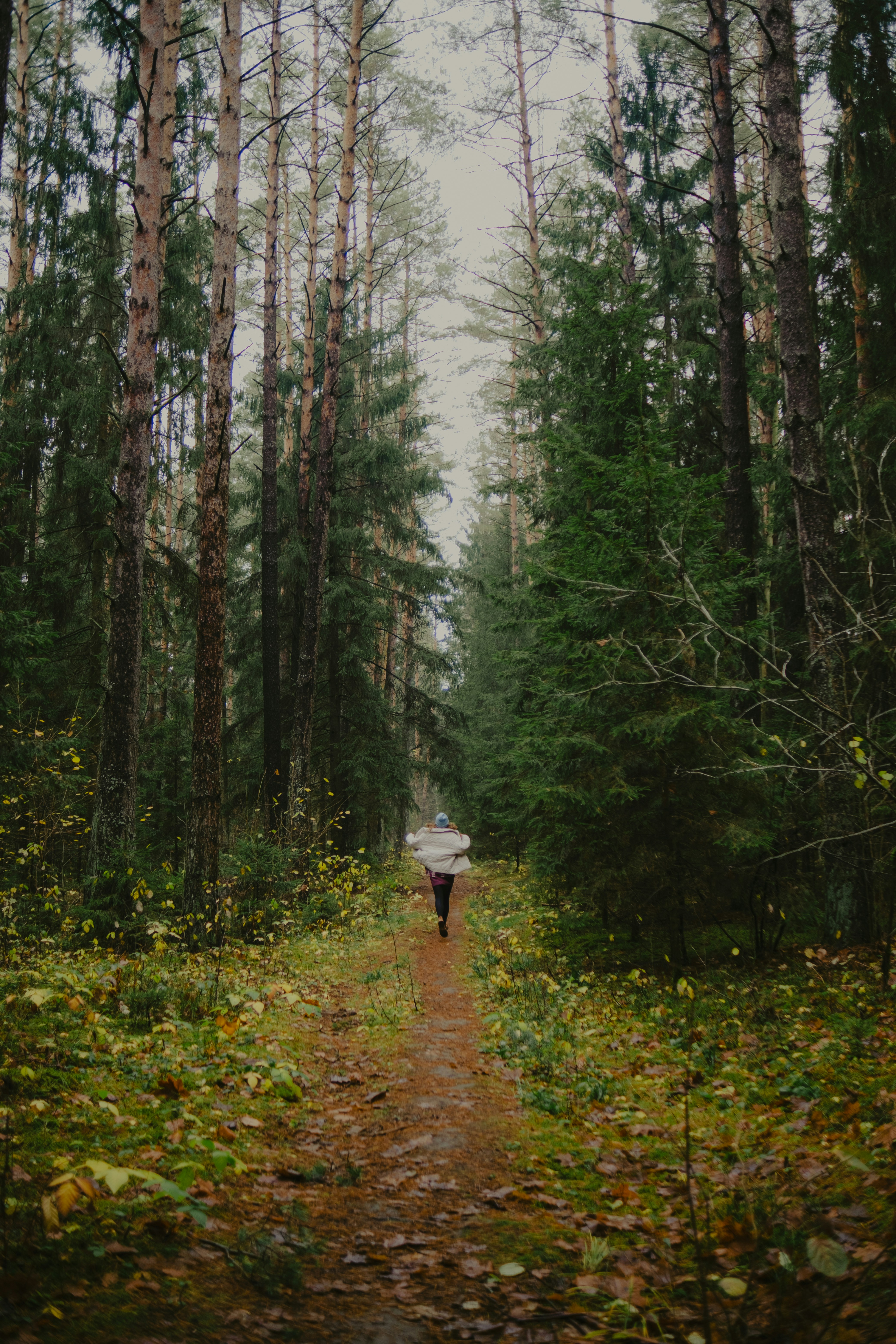 A person walks down a forest path in autumn.