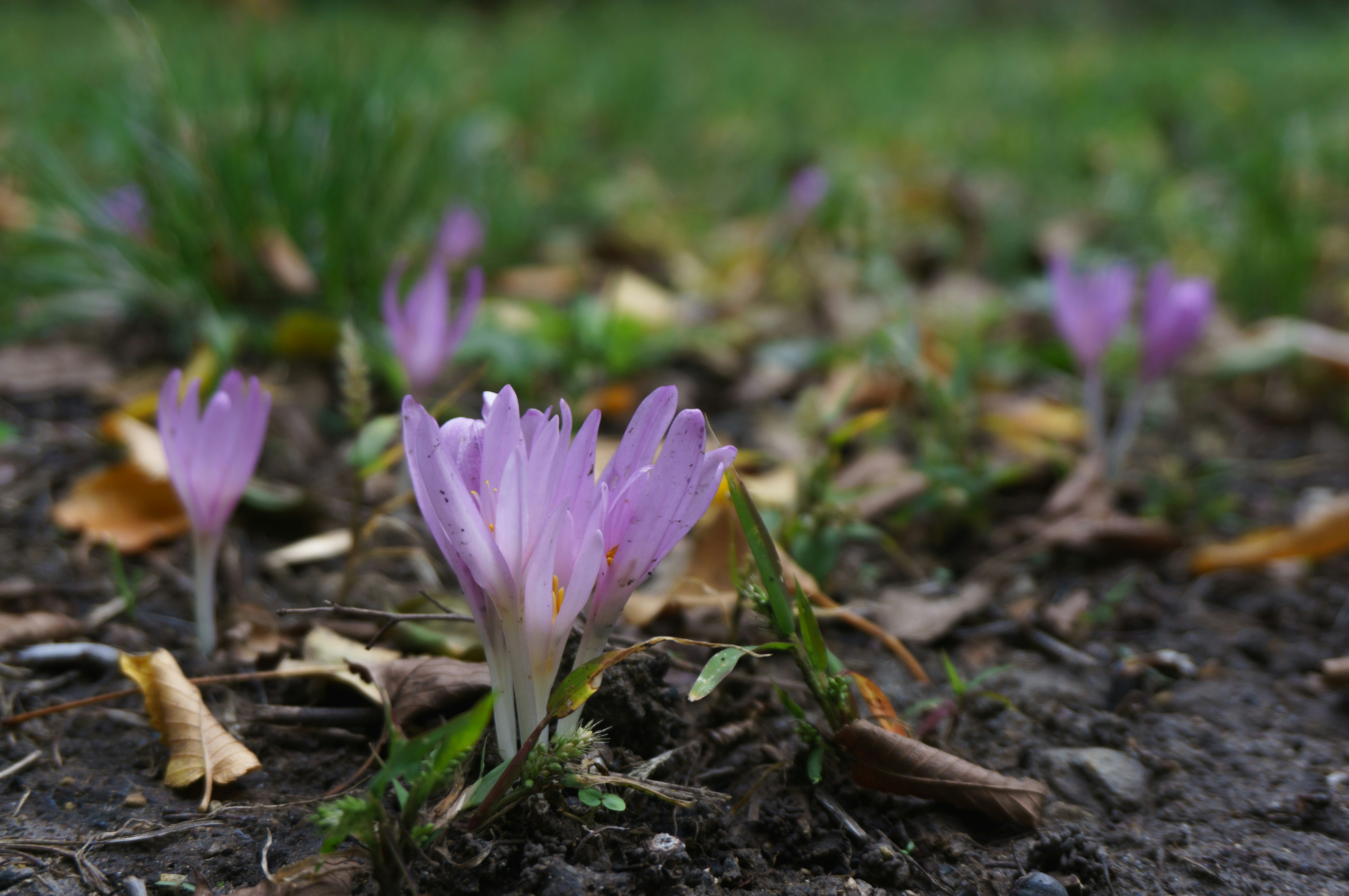 Photo by maksimzaviktorin