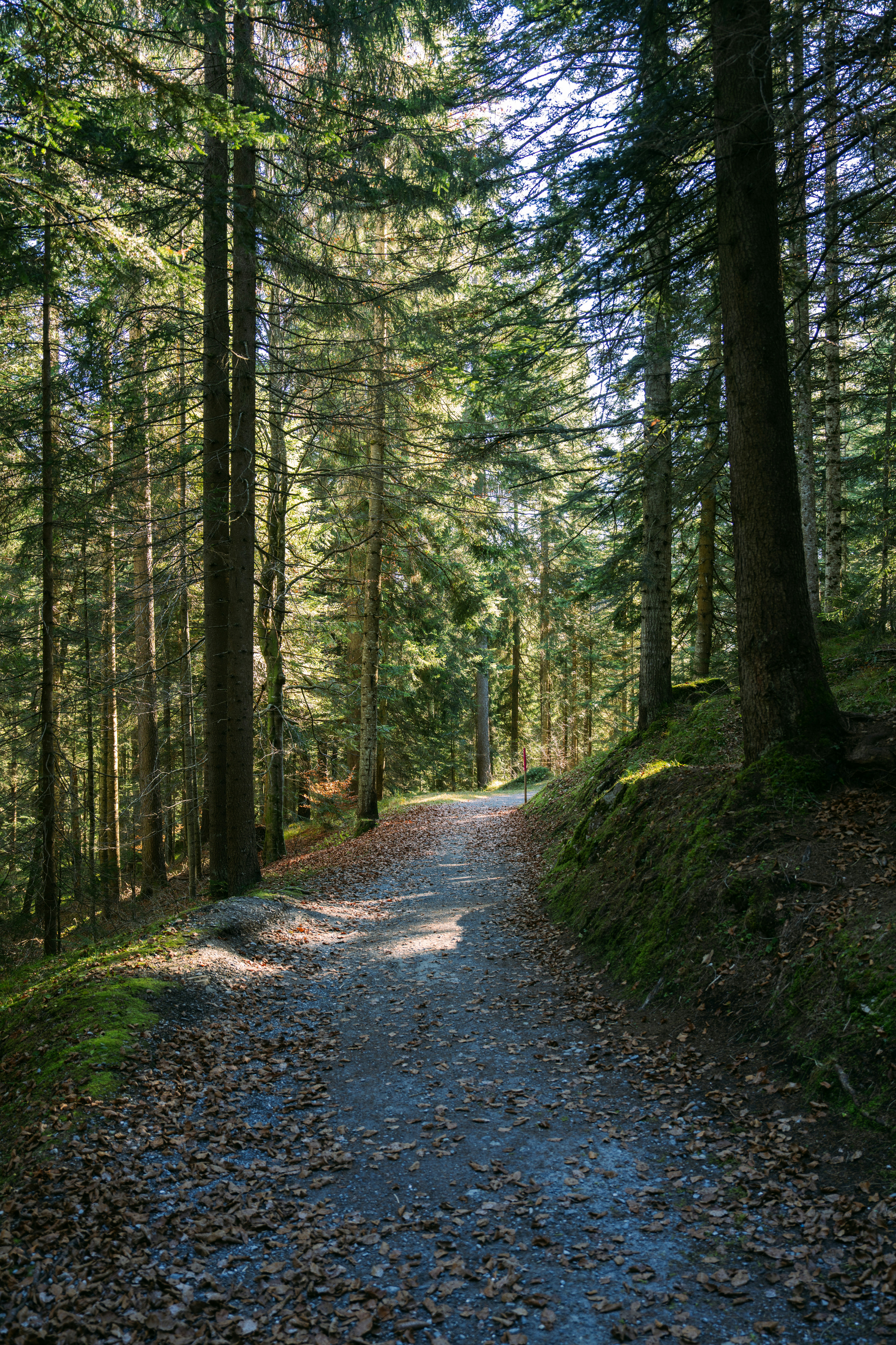 Photo by liviaphotographs