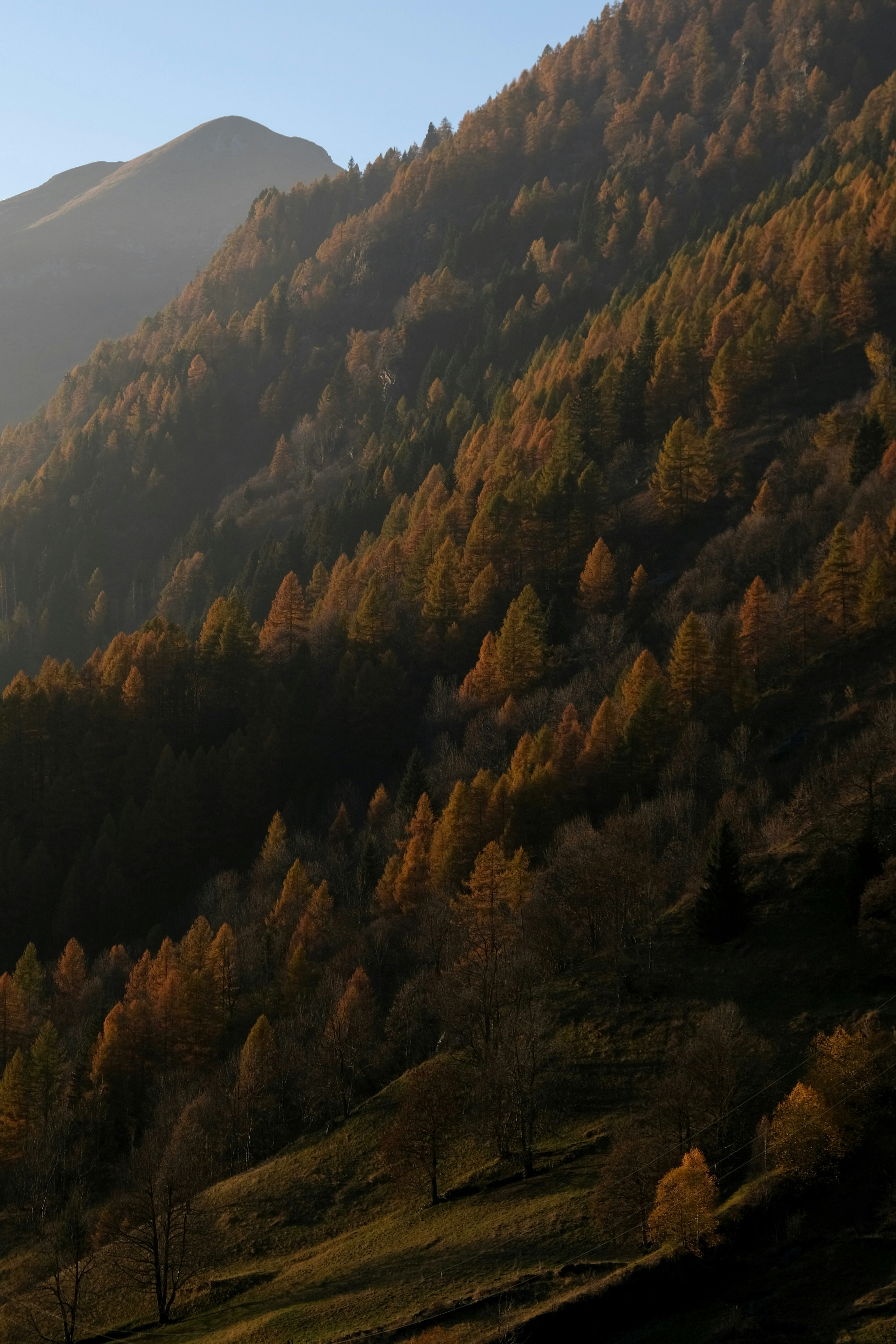 Photo by paolomilesi