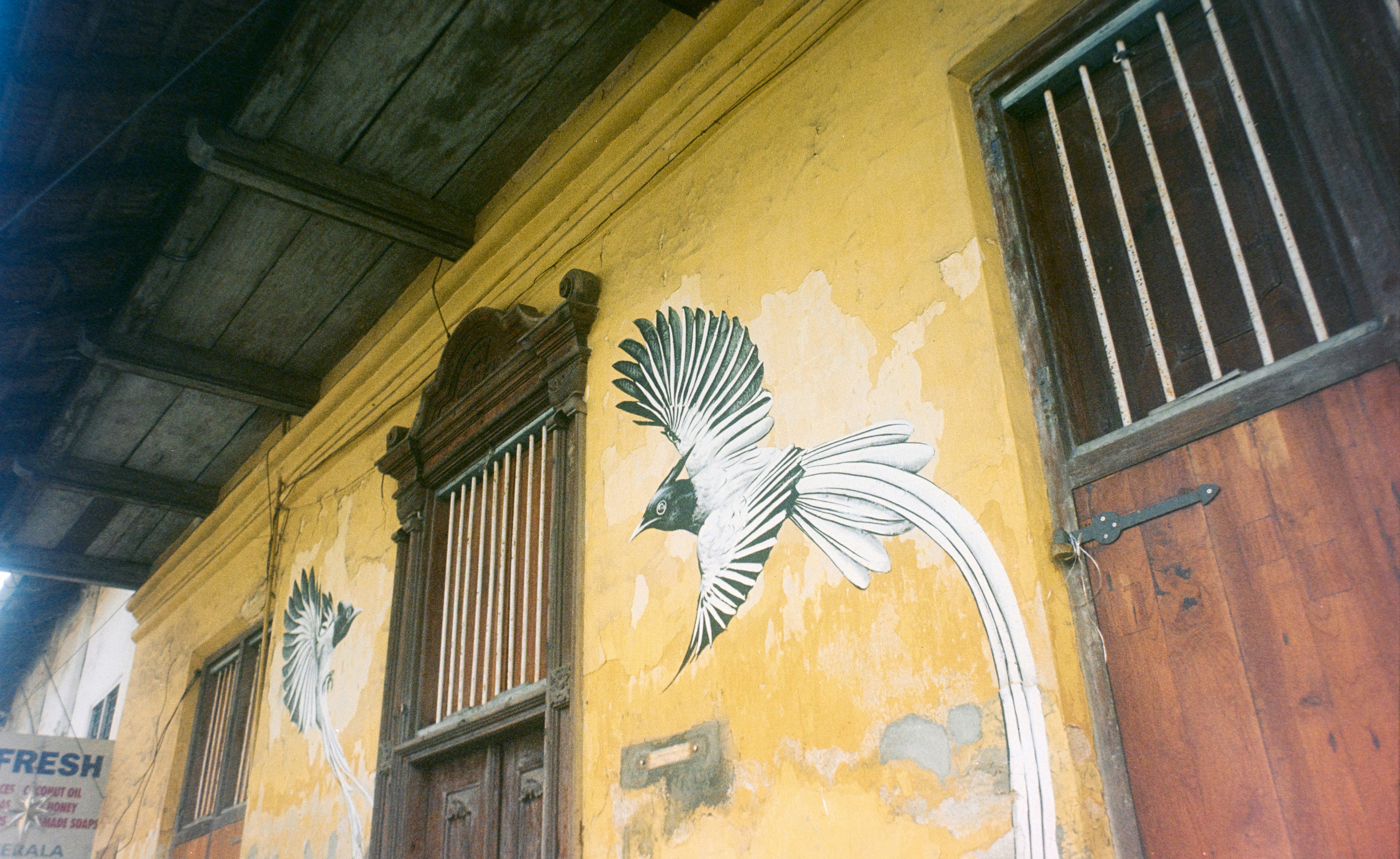 Yellow building with bird mural and wooden doors