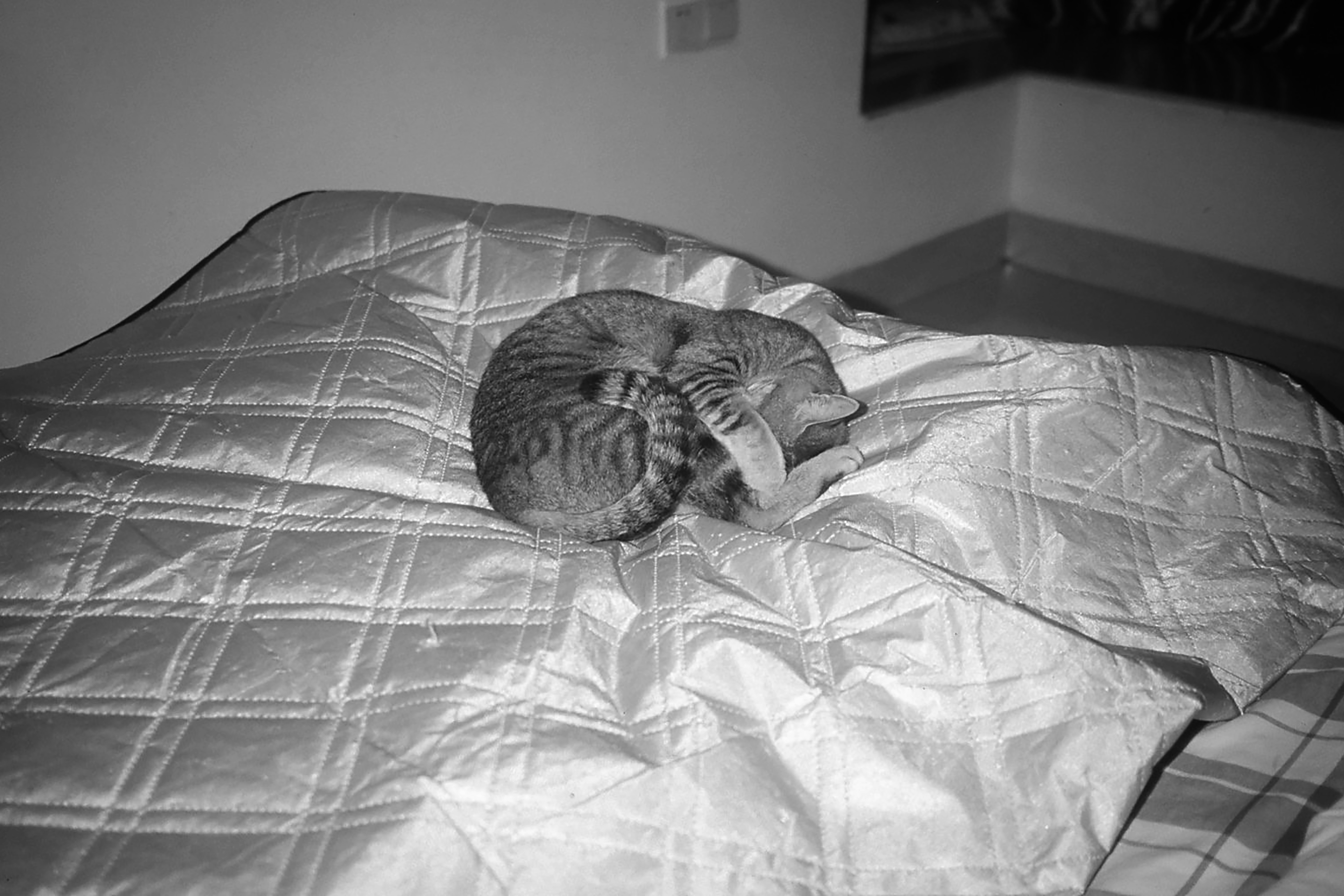 photo-1762781095137-8a0285d089c9?ixid=M3wxMjA3fDB8MXxzZWFyY2h8N3x8c2xlZXAlMjBiZXR0ZXIlMjB3aXRoJTIwZGVyaWxhfGVufDB8fHx8MTc2MzI5NjMzMHww\u0026ixlib=rb-4.1.0