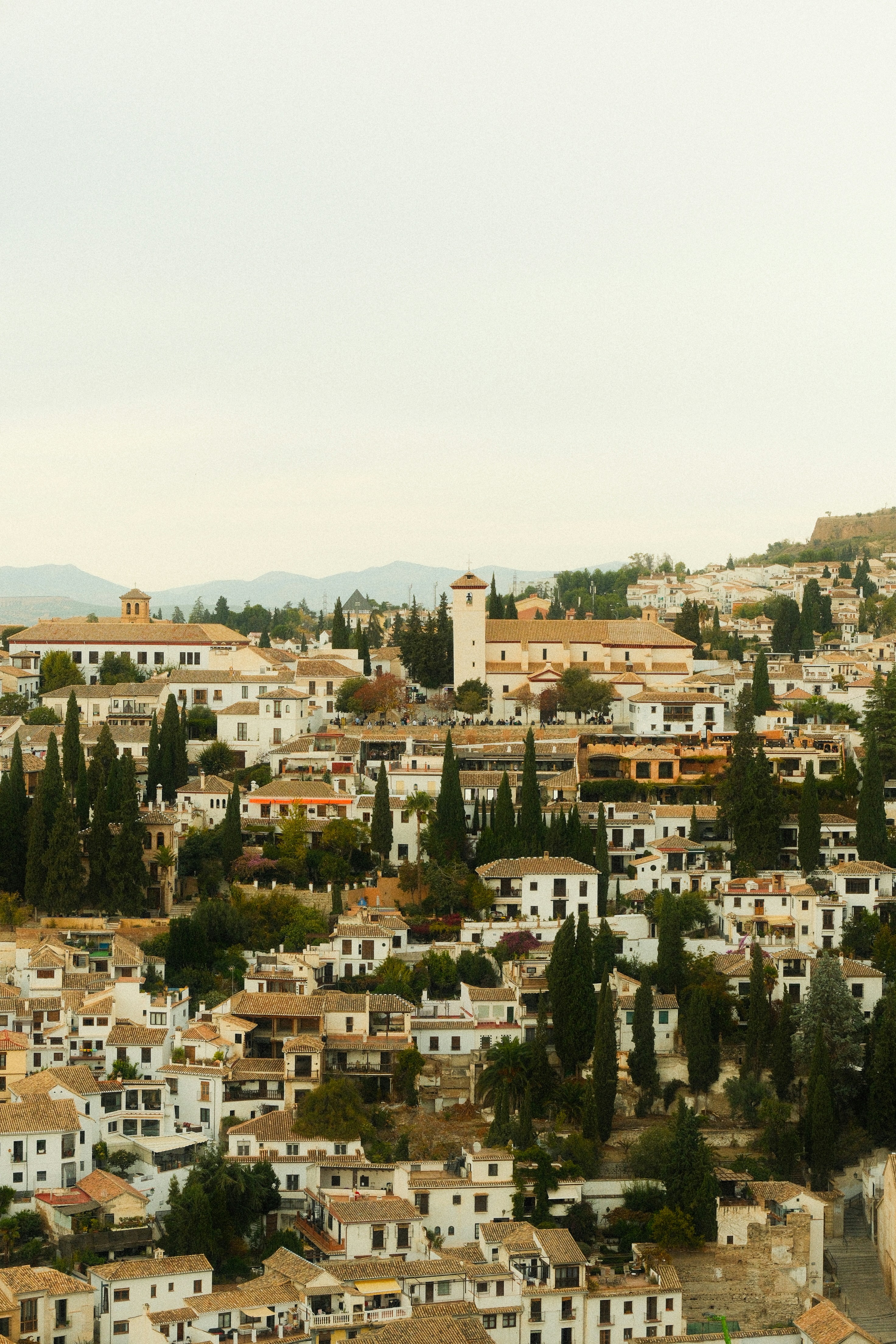 Empresa de servicios de digitalización de procesos empresariales en Granada