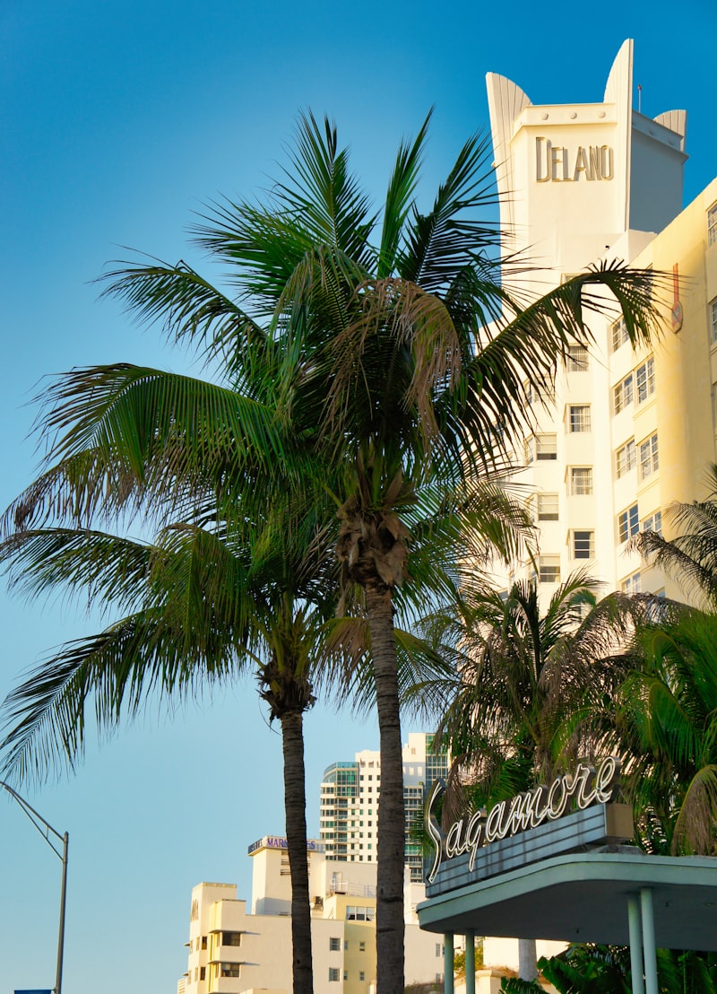 Miami Beach skyline with palm trees and ocean for World Cup 2026 visitors