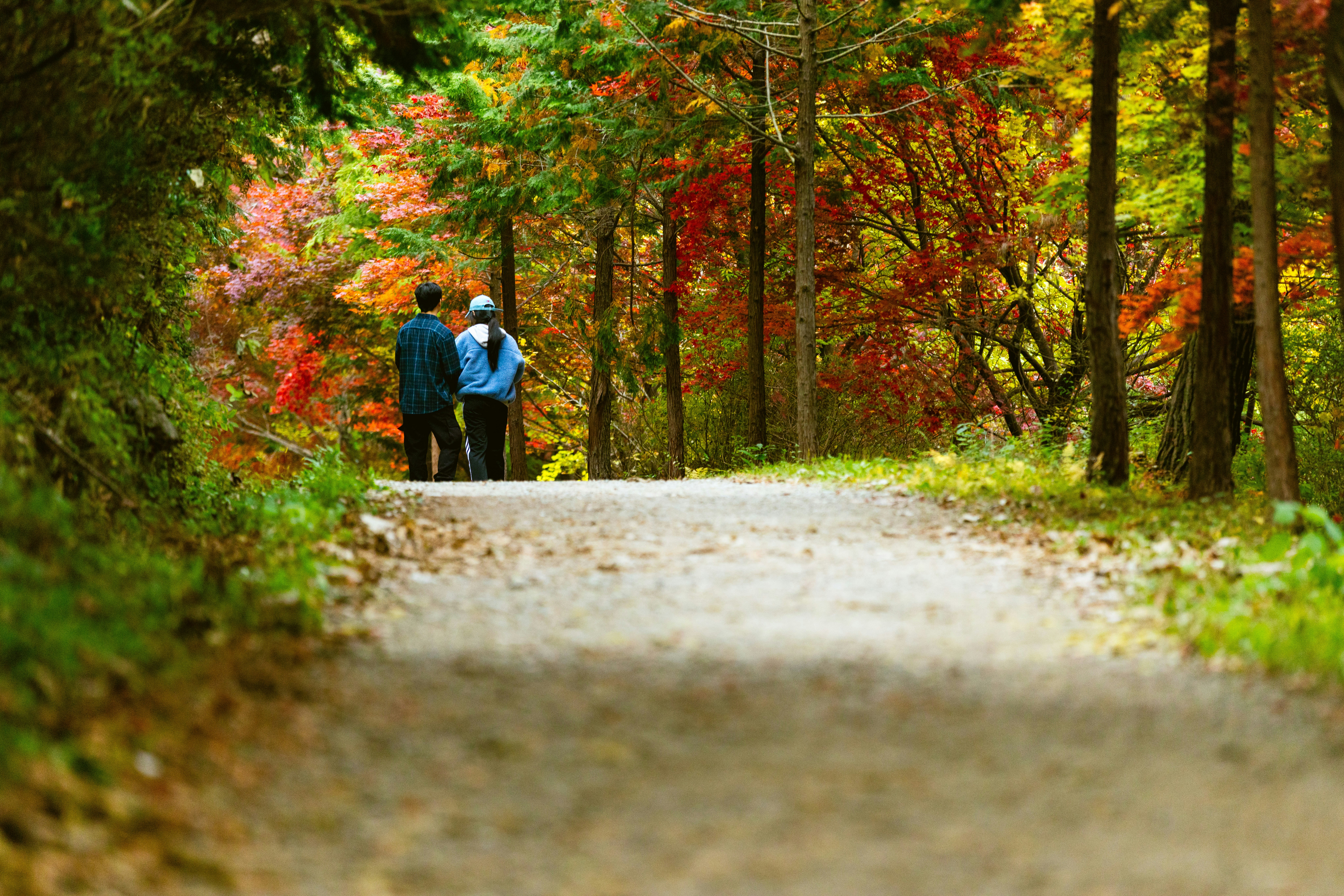 Two people walking on a path in autumn forest