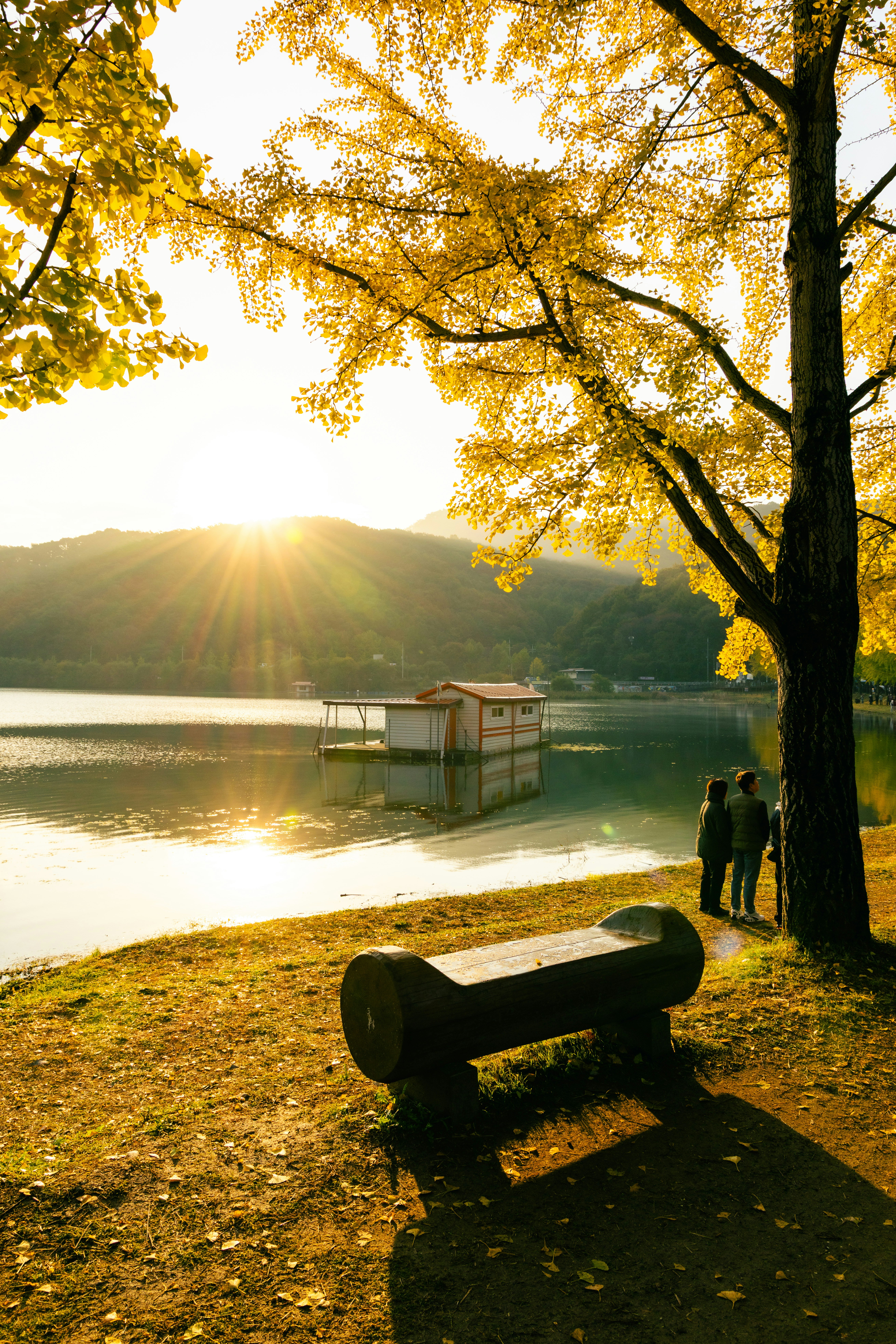 Golden autumn trees by a serene lake at sunset.