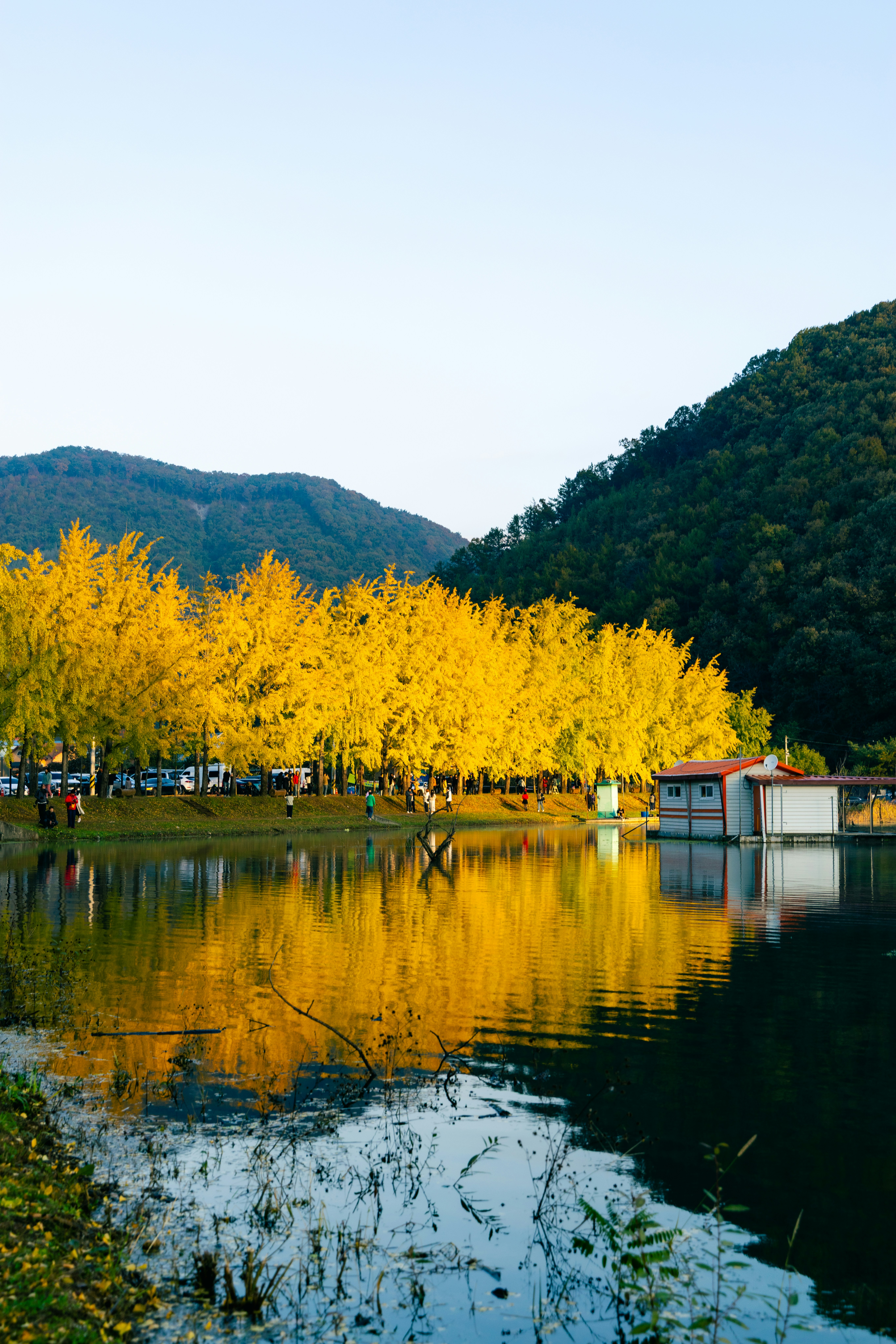 Golden trees reflected in a calm lake with mountains.