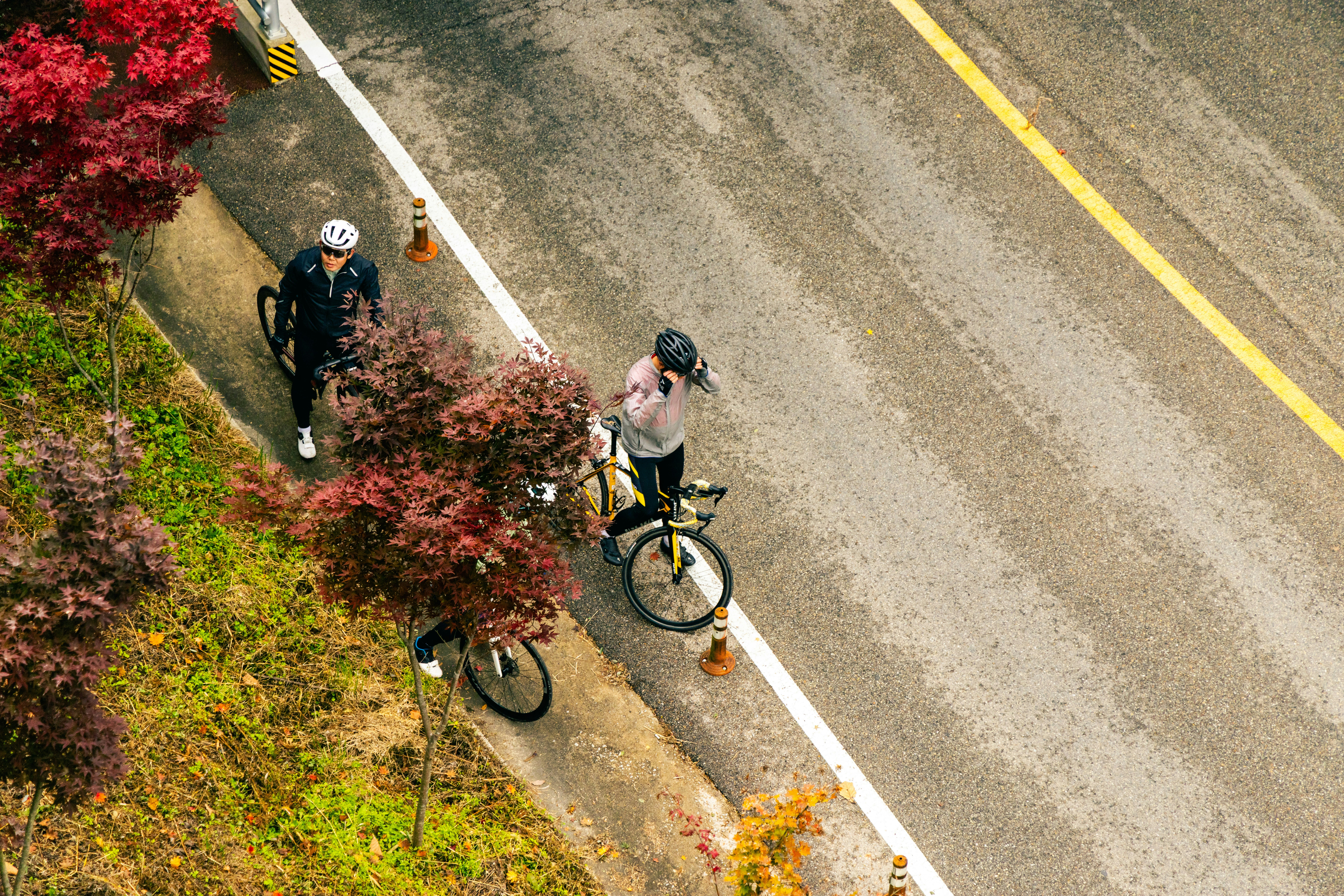 Two cyclists on a paved road with autumn foliage.