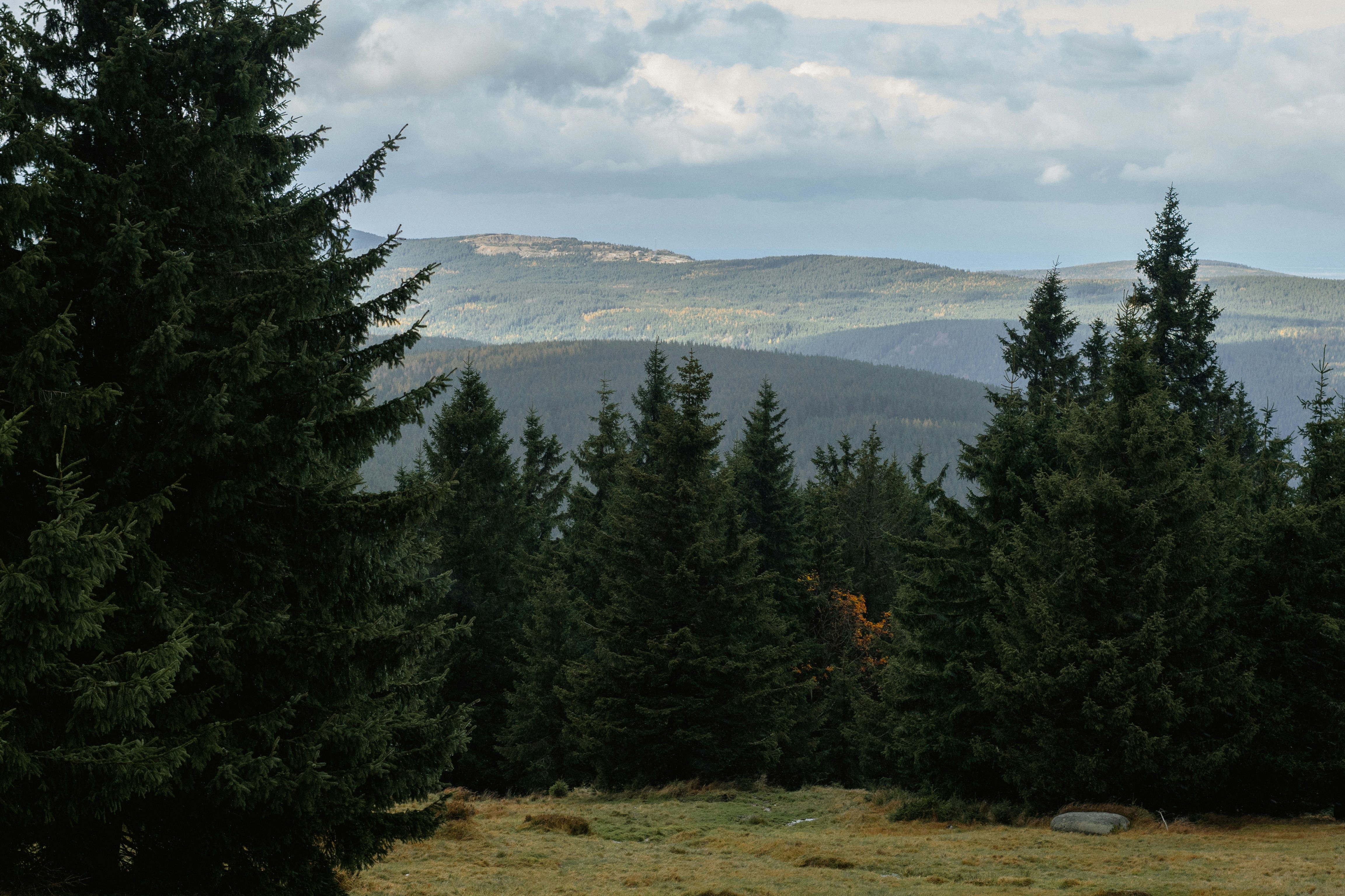 Photo by p_kuzovkova