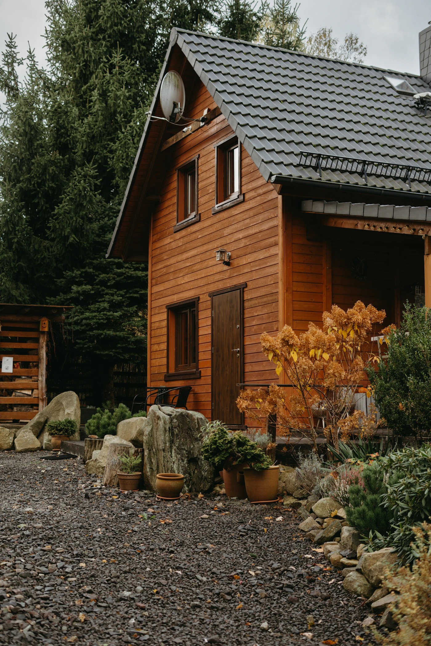 Freshly refinished log cabin surrounded by trees