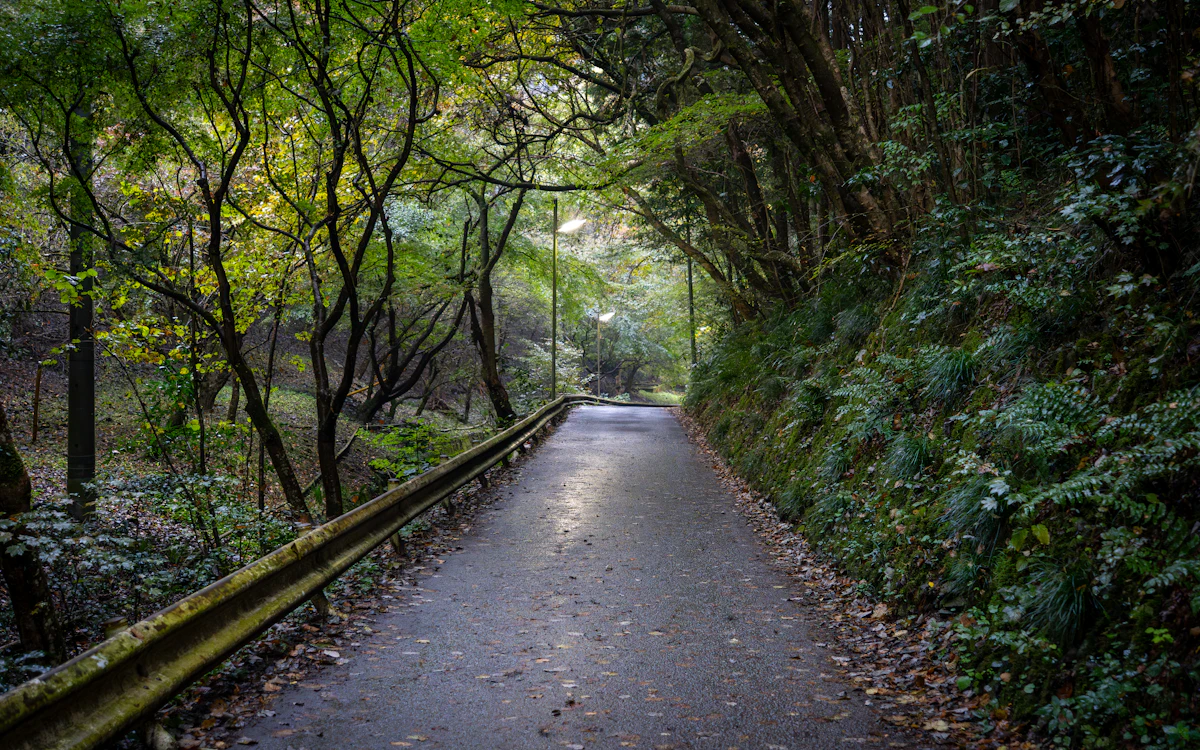 Trail on Mount Takao
