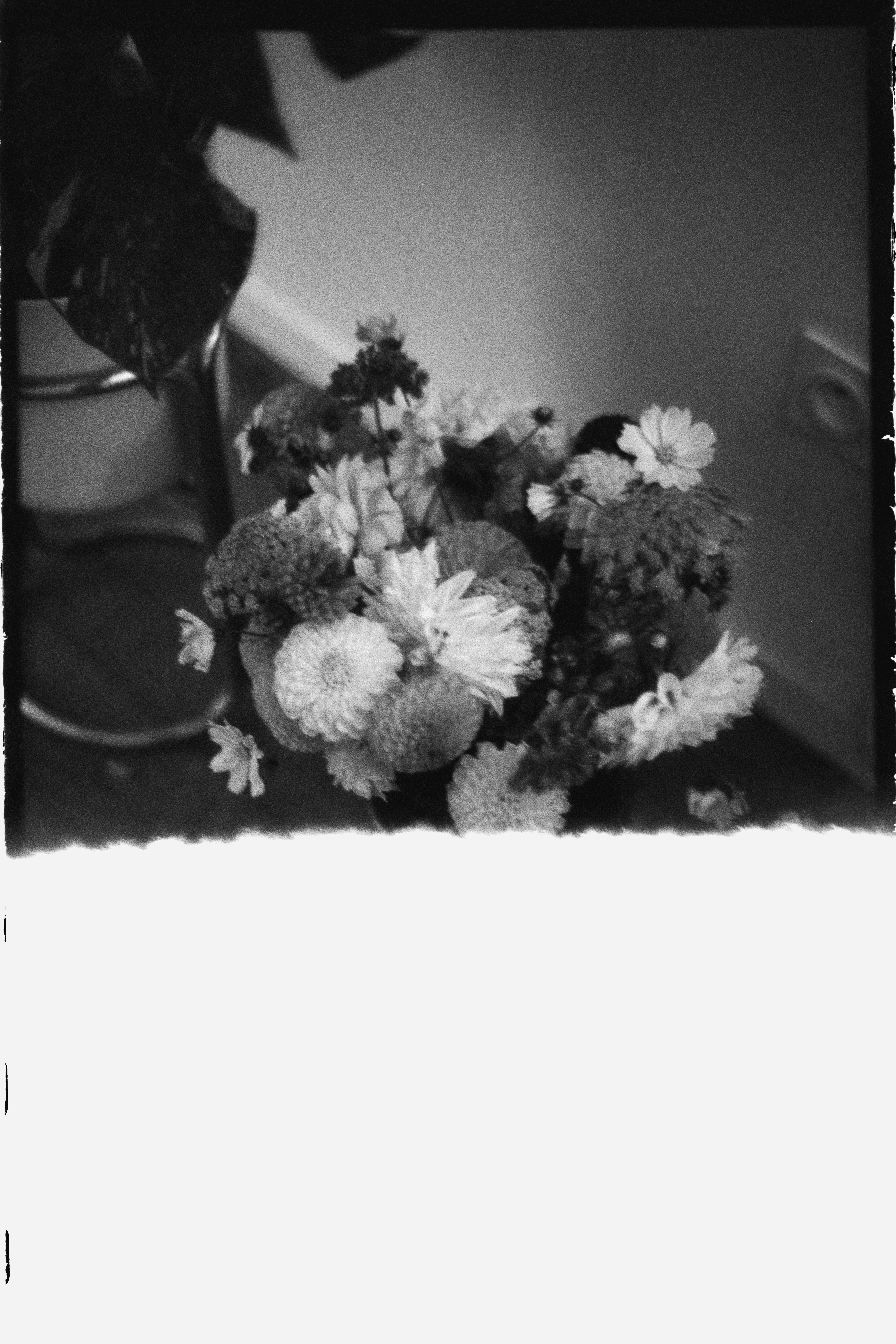 Bouquet of flowers in a vase, black and white.