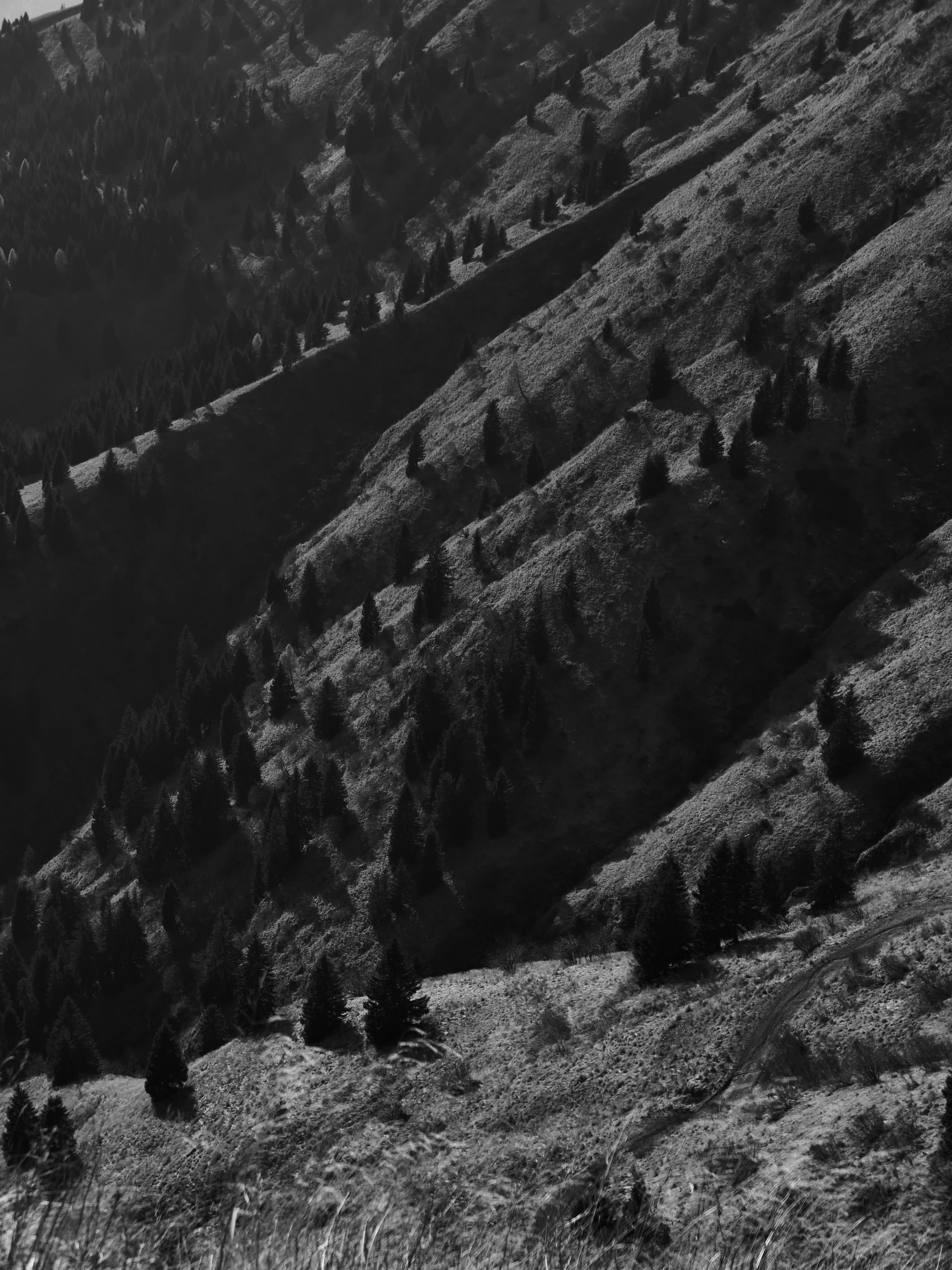 Photo by danielesimon