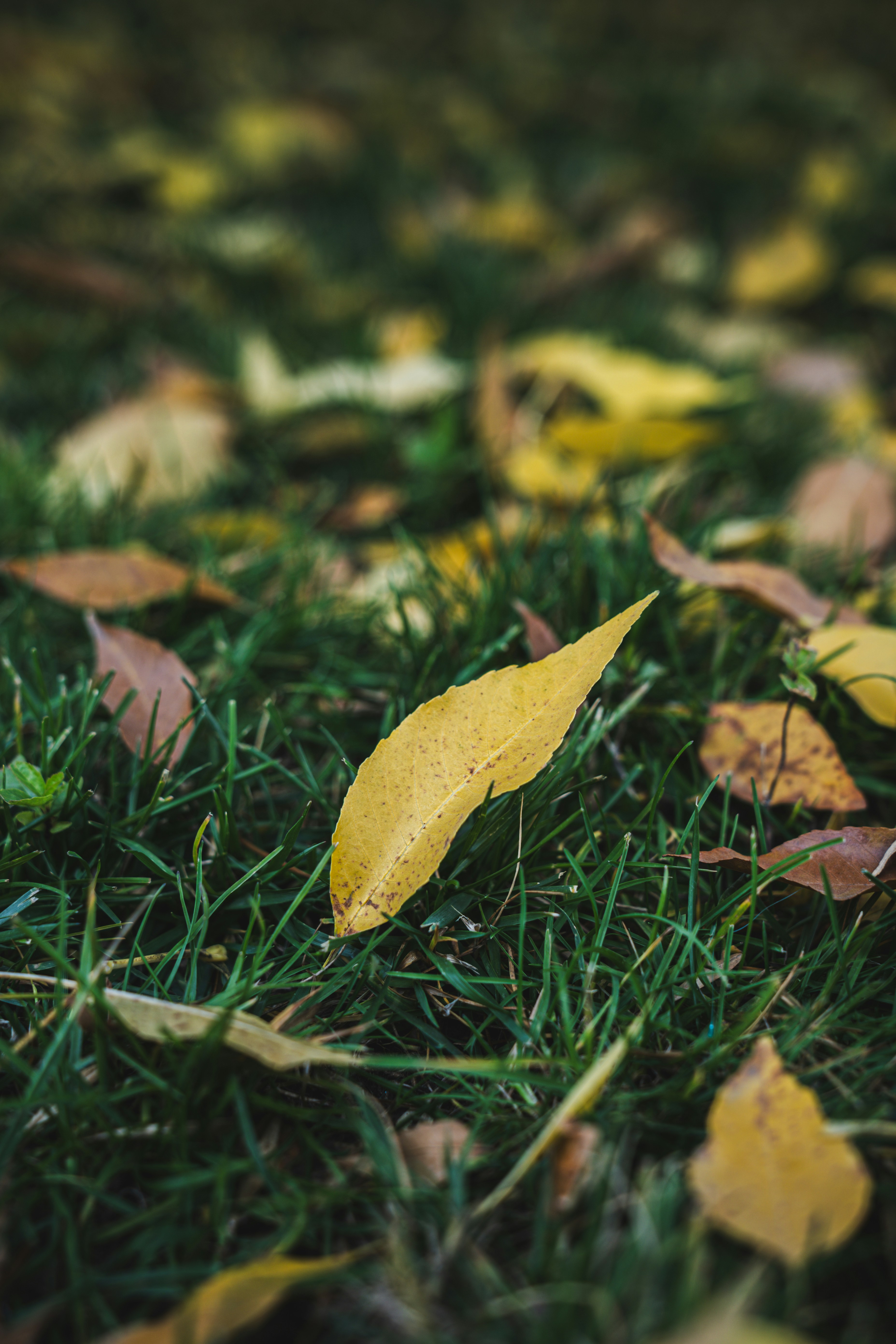 Photo by peek_a_boo_who