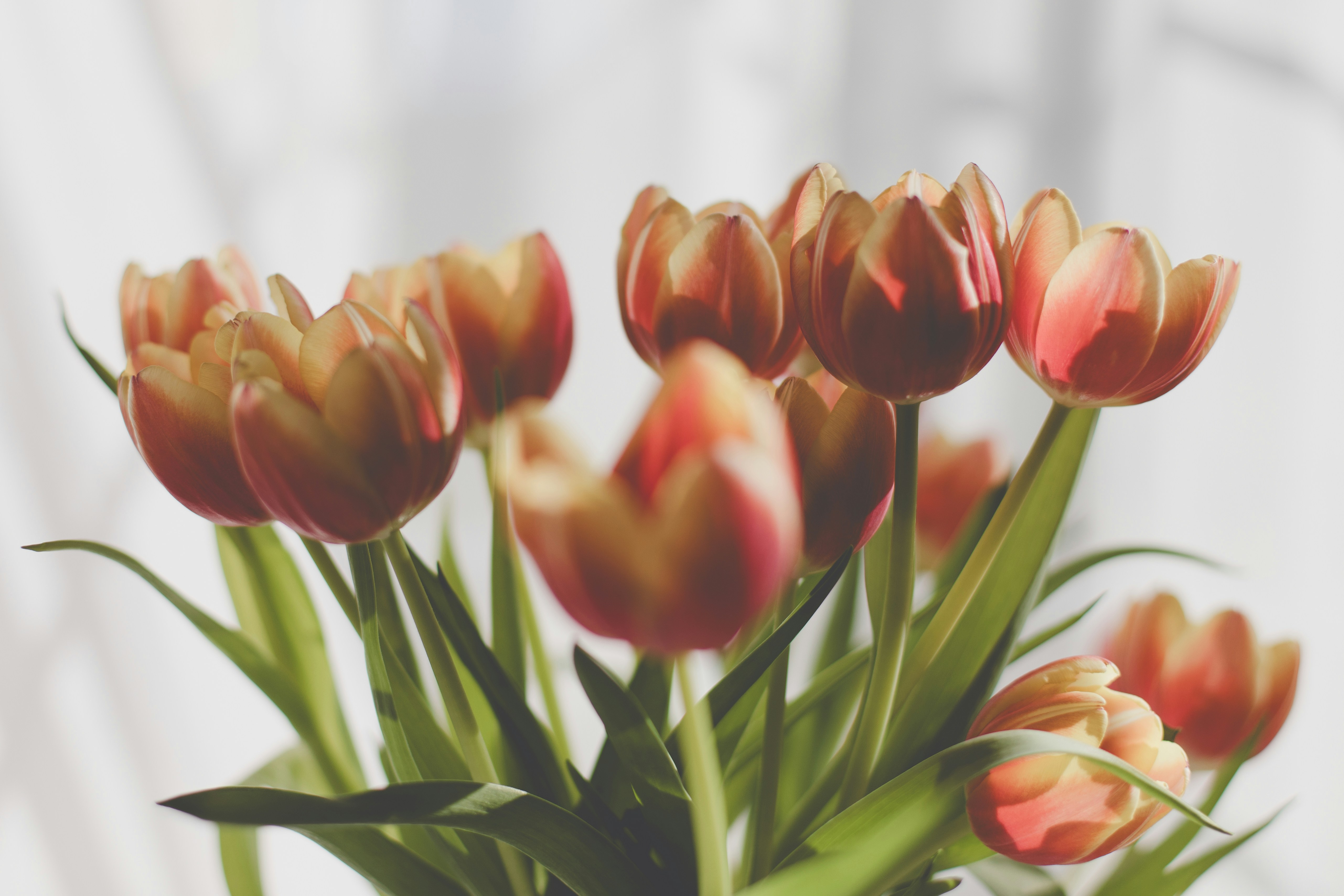 Photo by sixteenmilesout