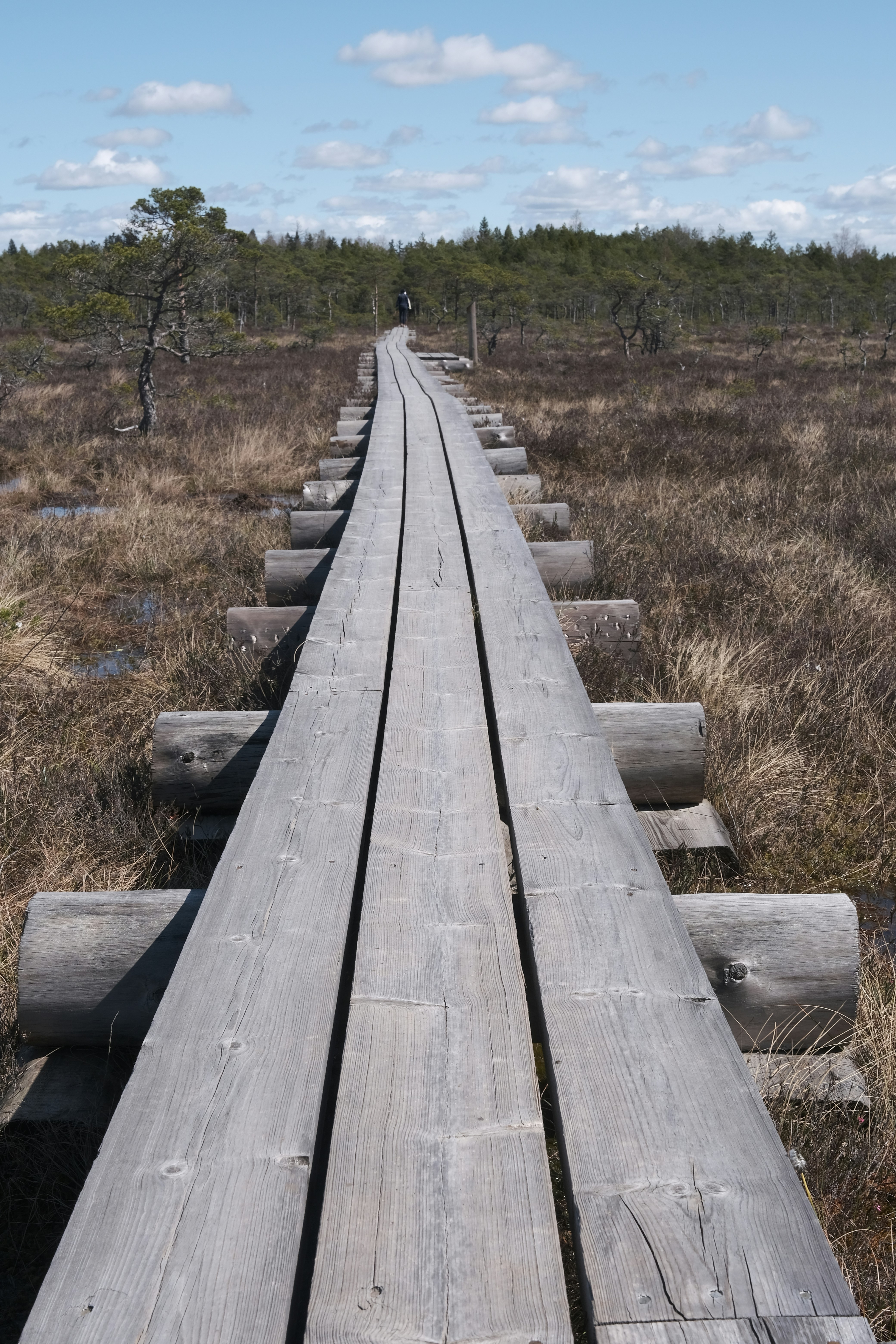 Photo by vitaliholstinin