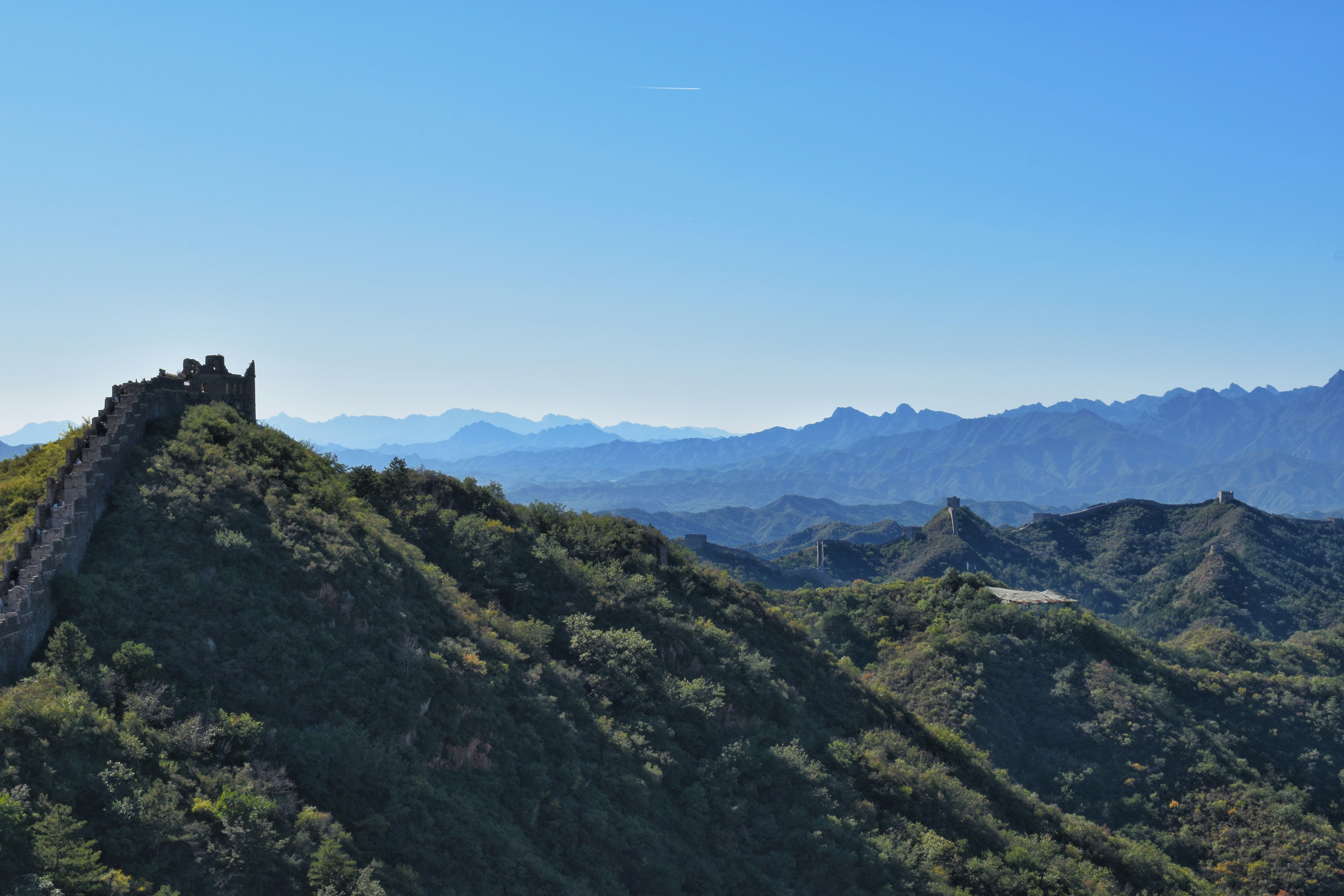 Photo by murphys_photos