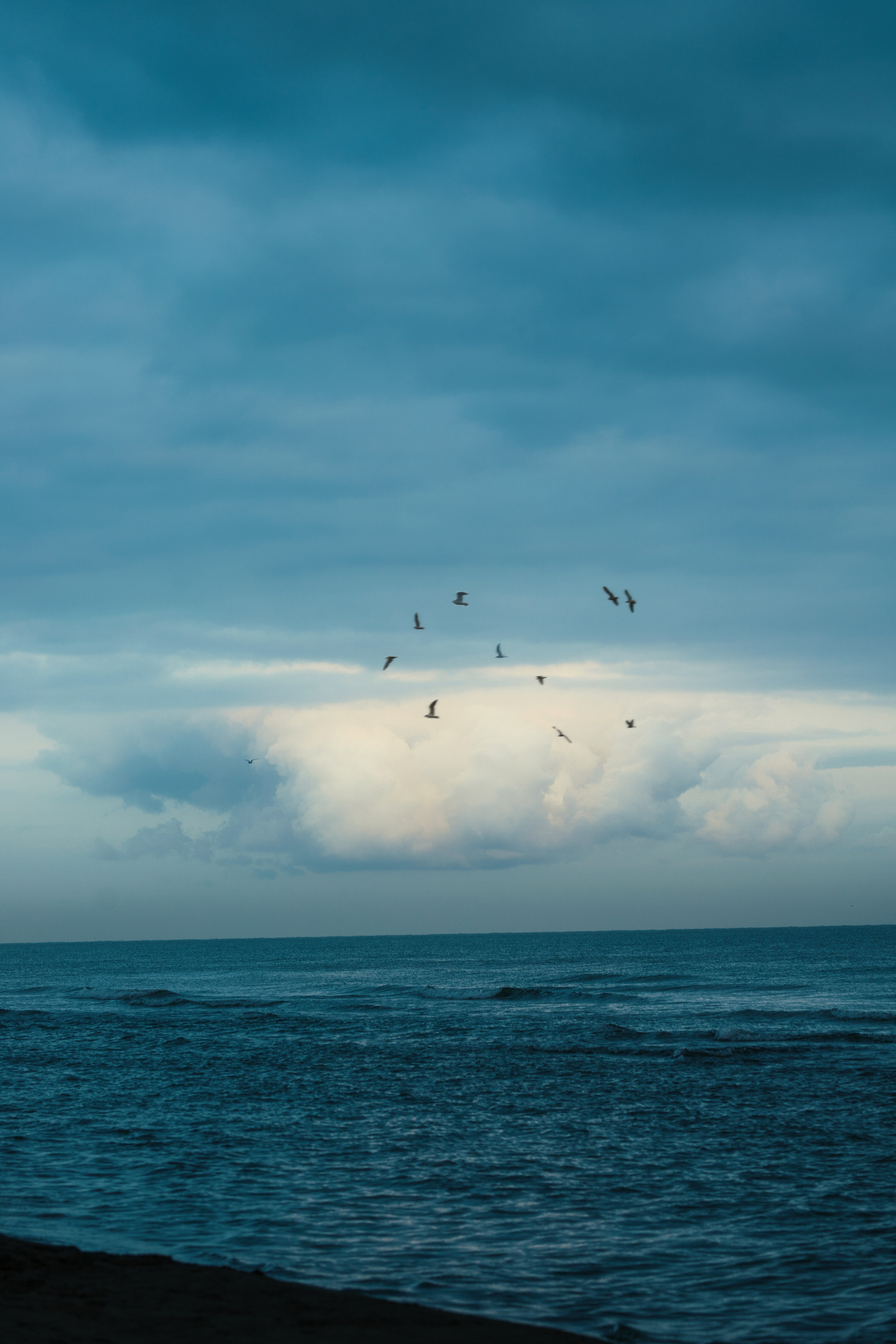 Photo by alirezaesmaeeli