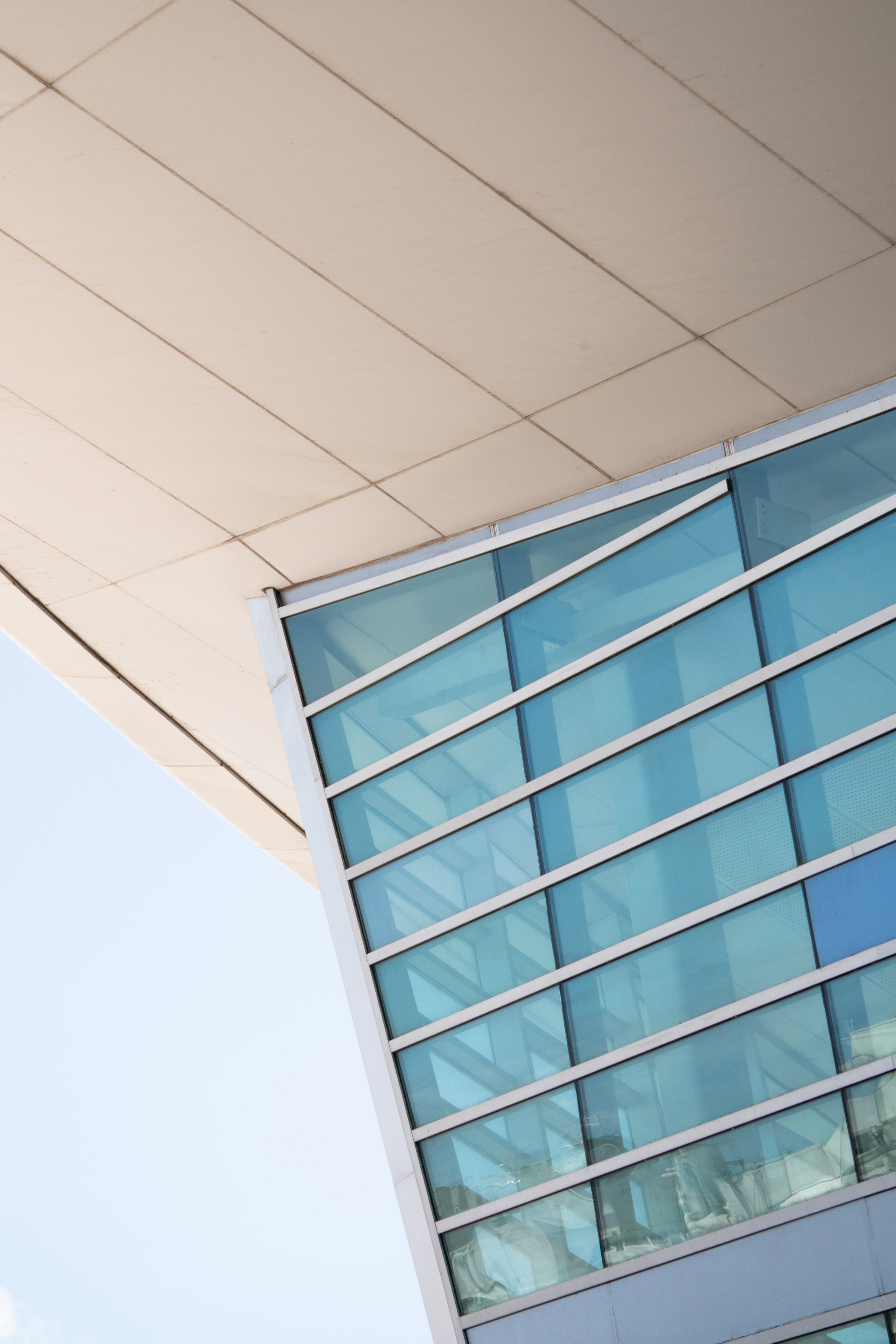 Photo by angelicateranp