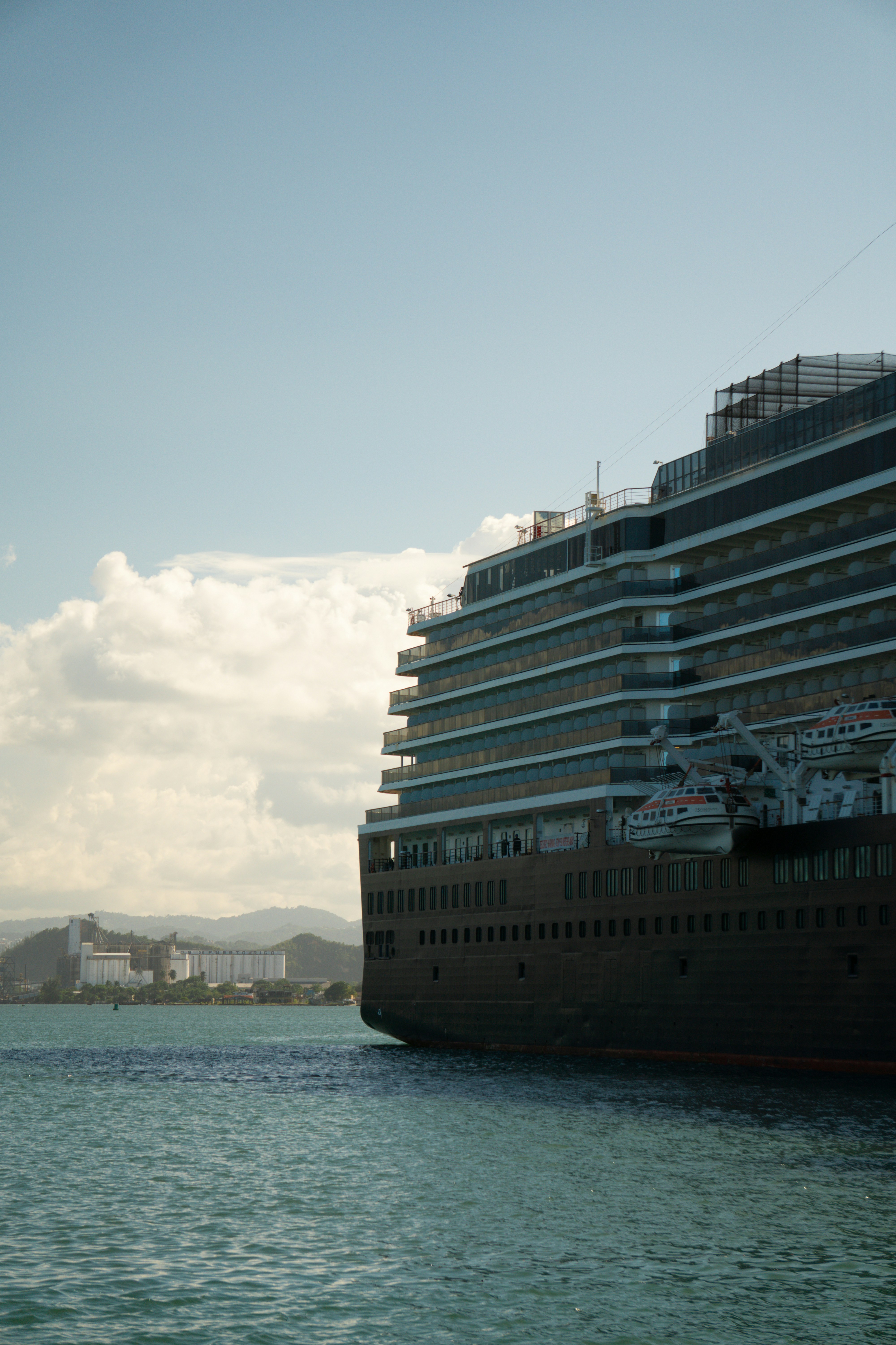 Large cruise ship sailing on the ocean near land.