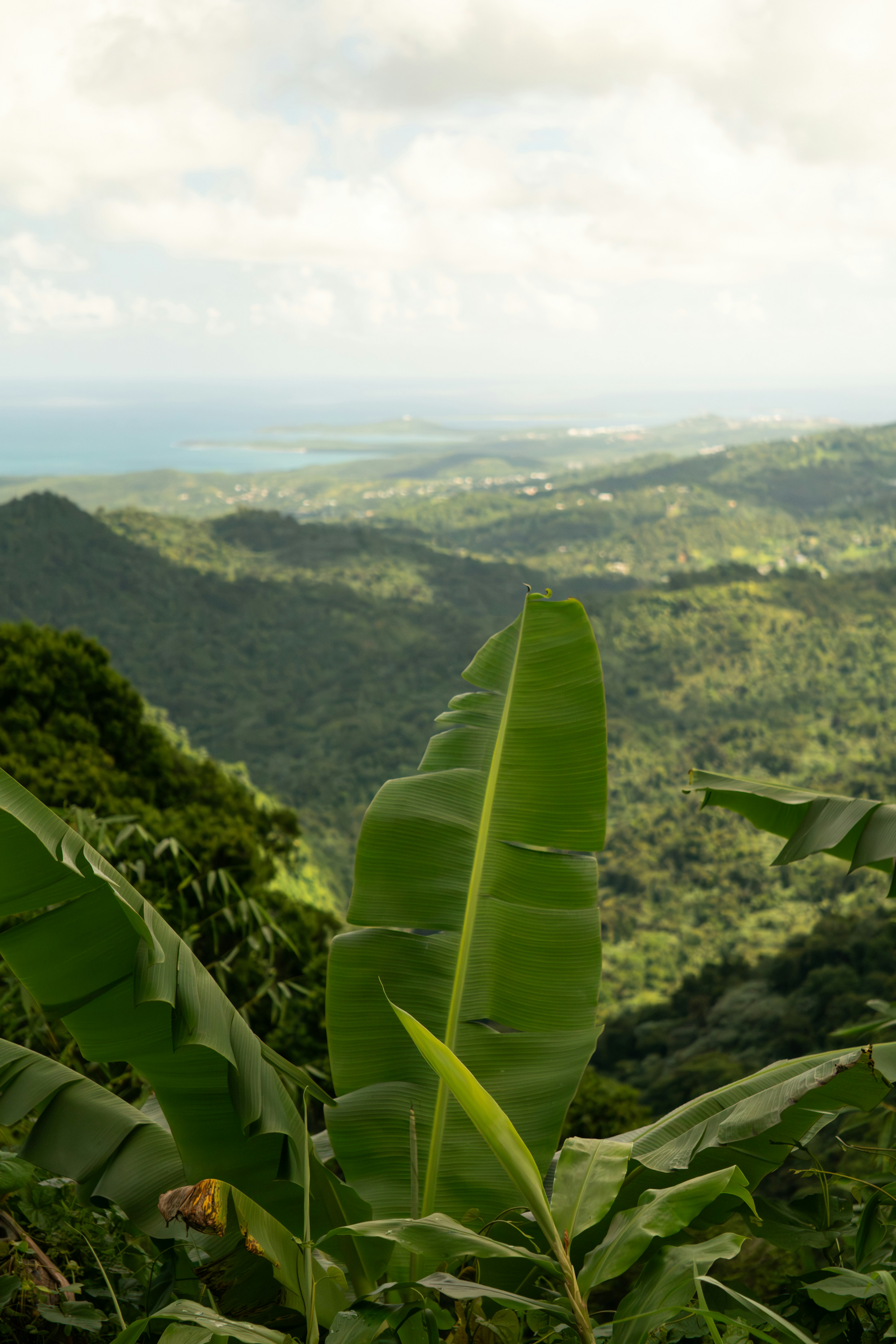 Photo by angelicateranp