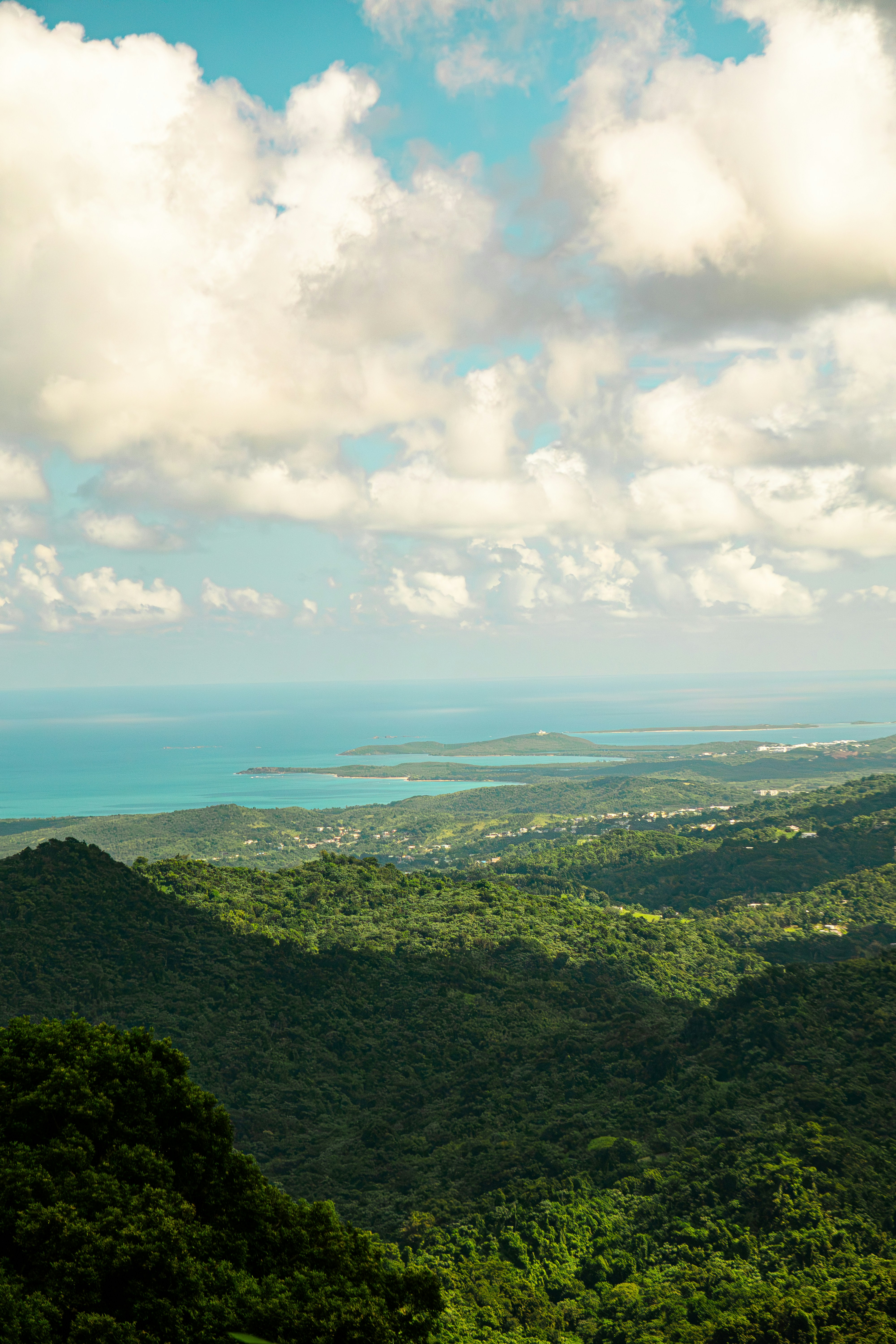 Photo by angelicateranp