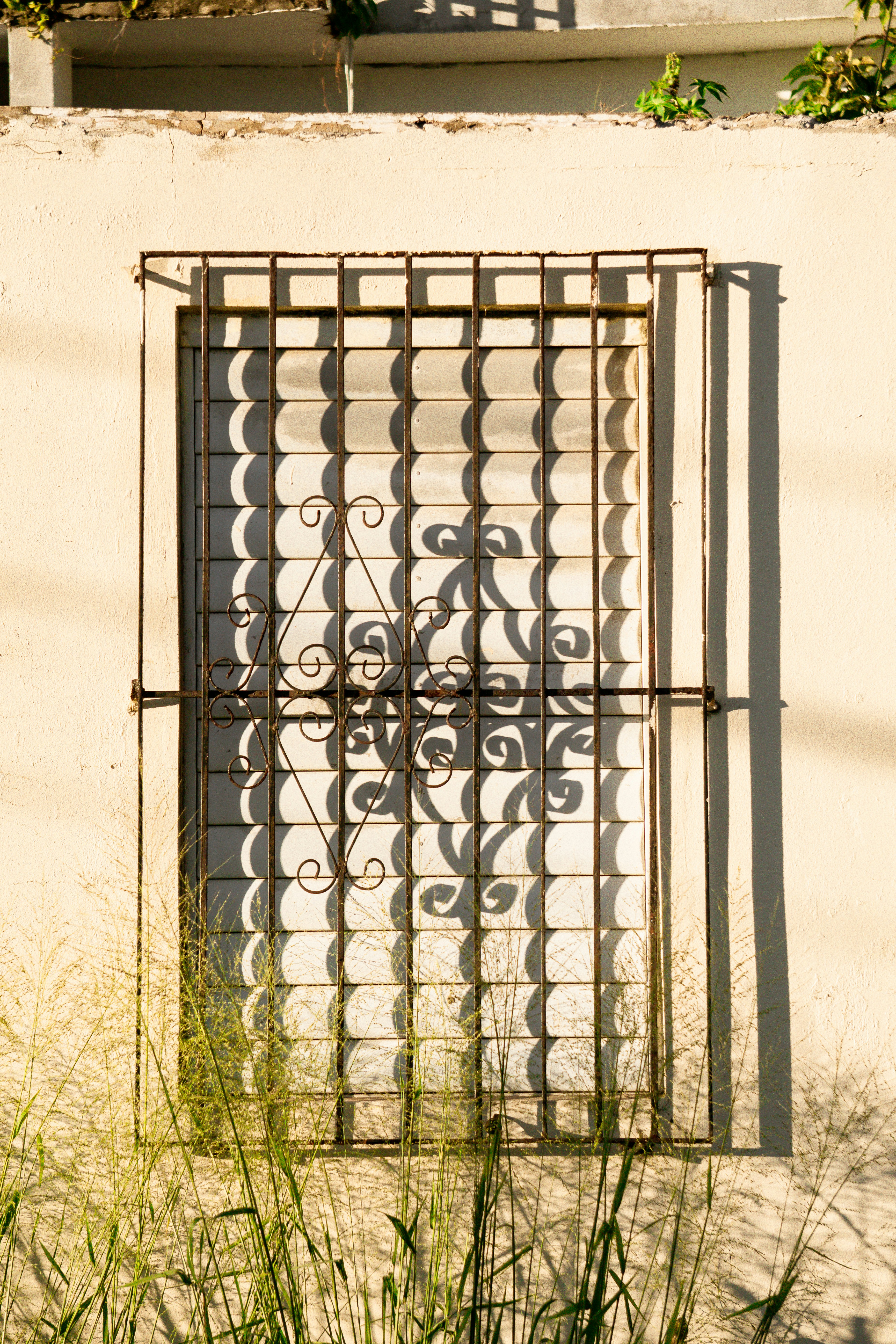 Photo by angelicateranp